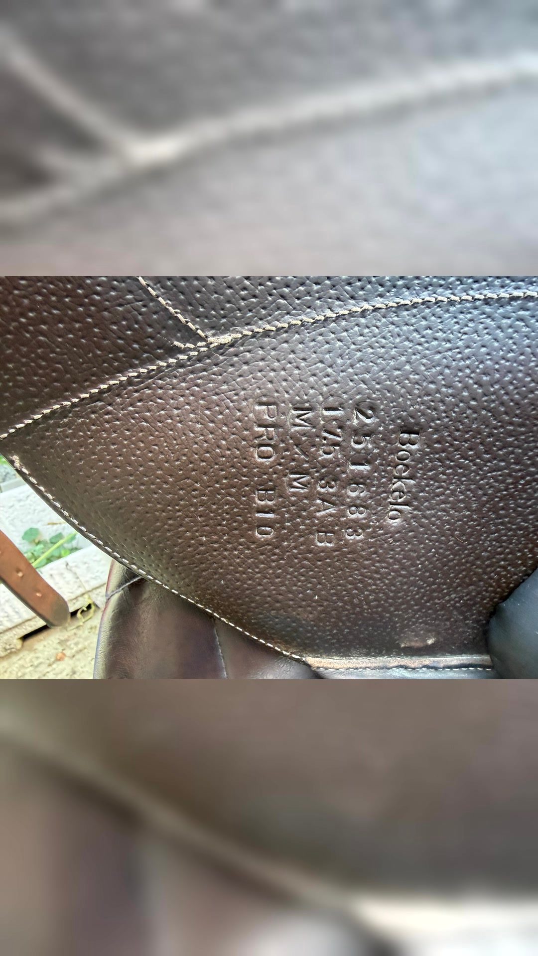 Selle forestier, média 6