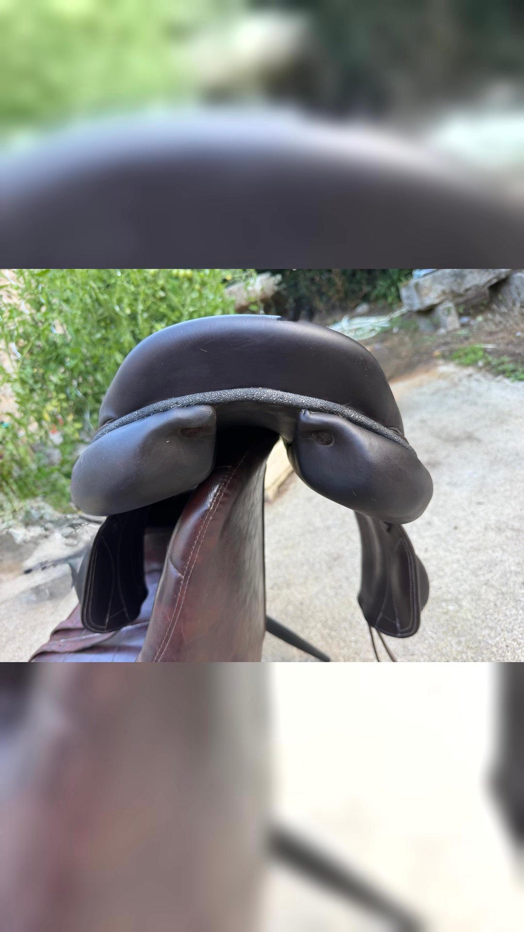 Selle forestier, média 2