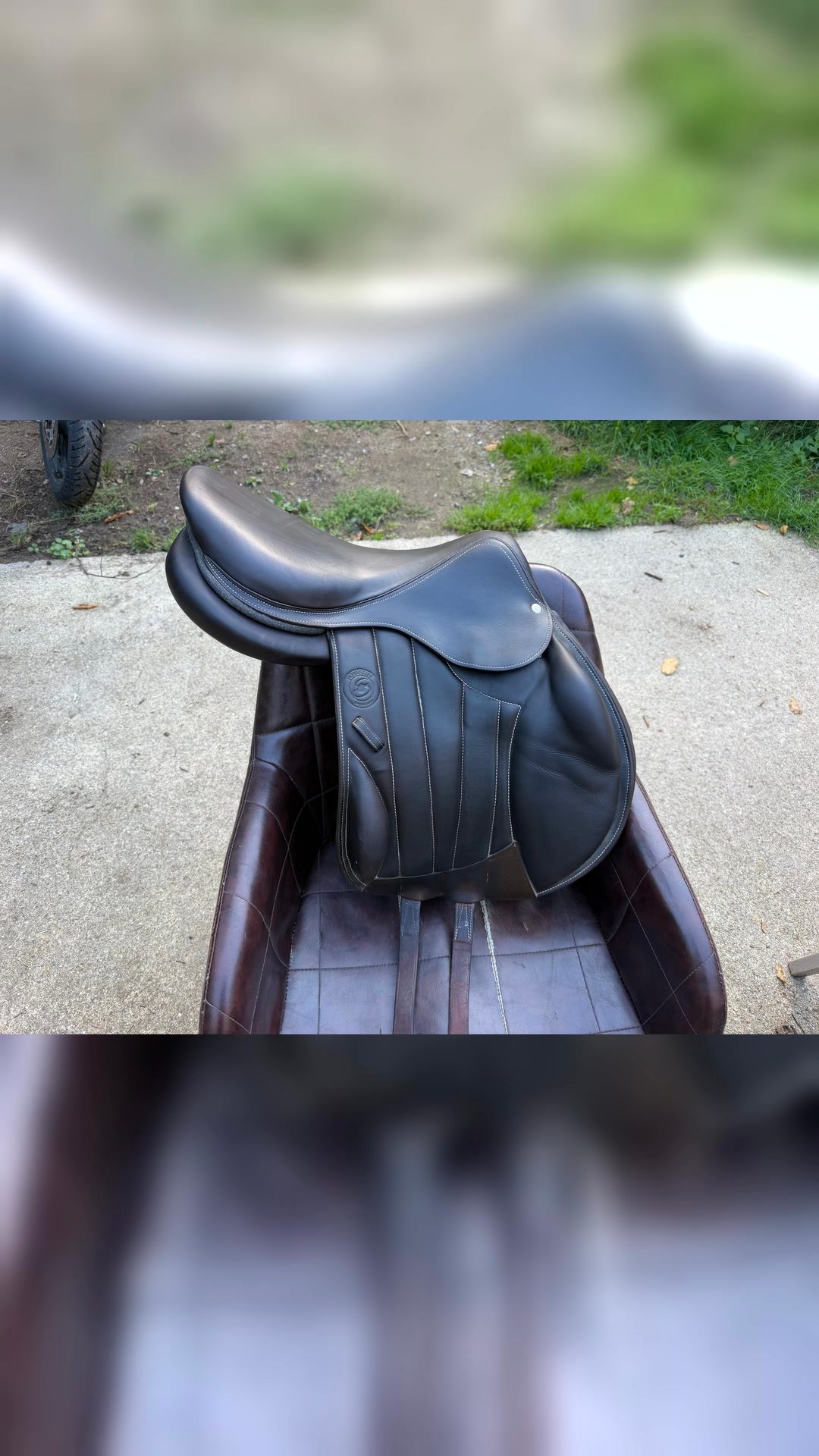 Selle forestier, média 3