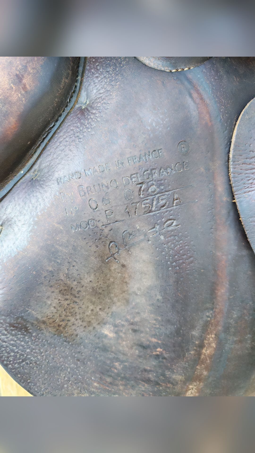 Selle Delgrange, média 2