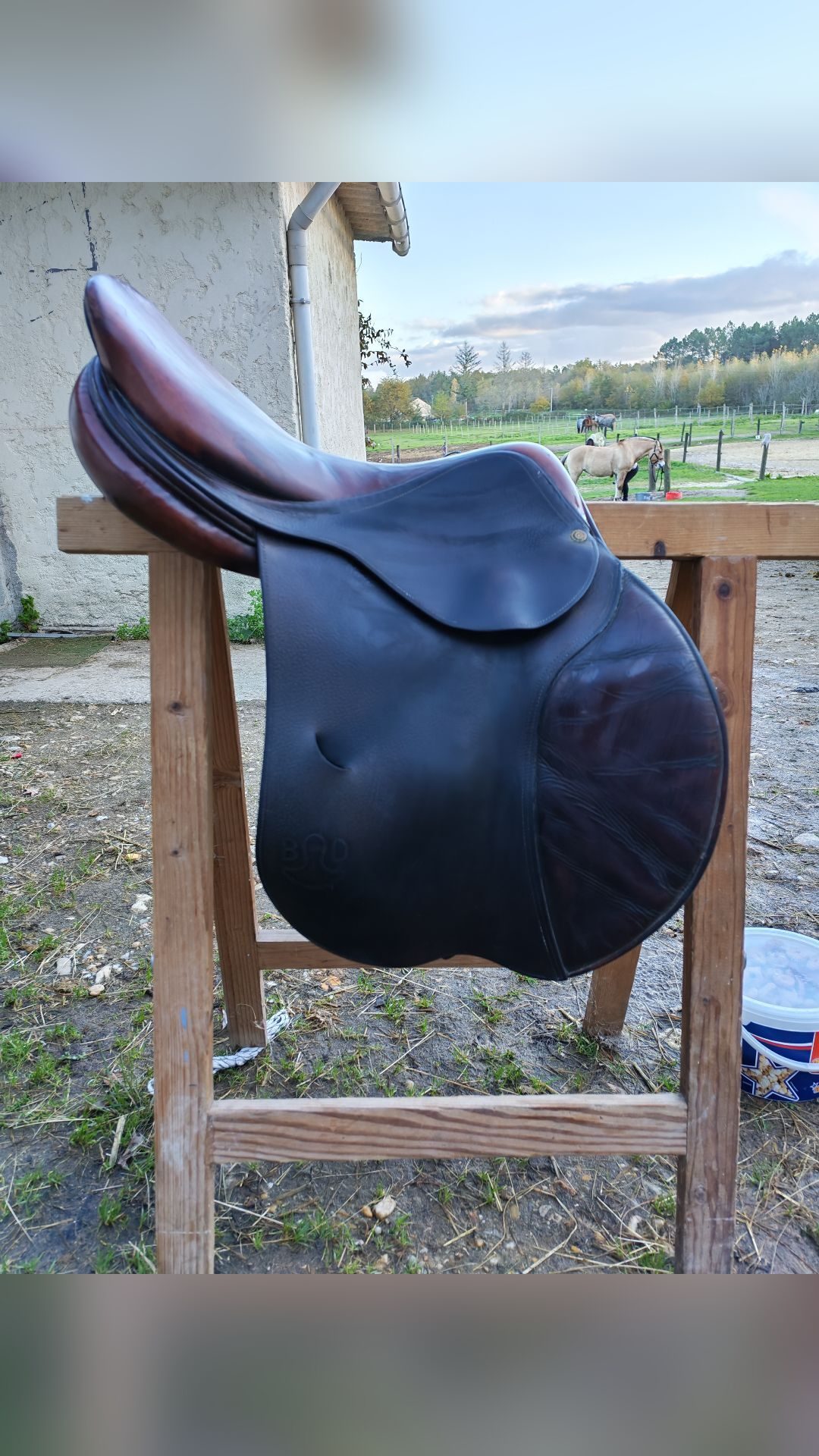 Selle Delgrange, média 3