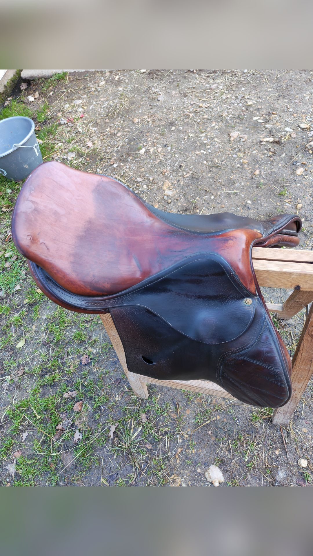 Selle Delgrange, média 4