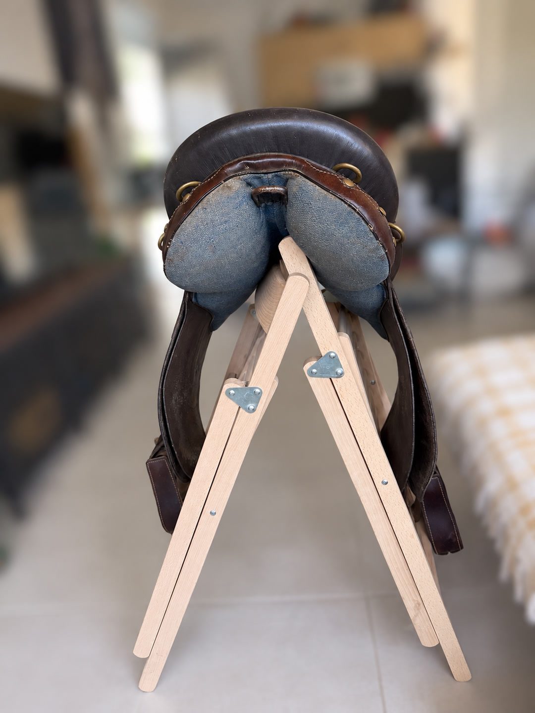 Selle australienne, média 3