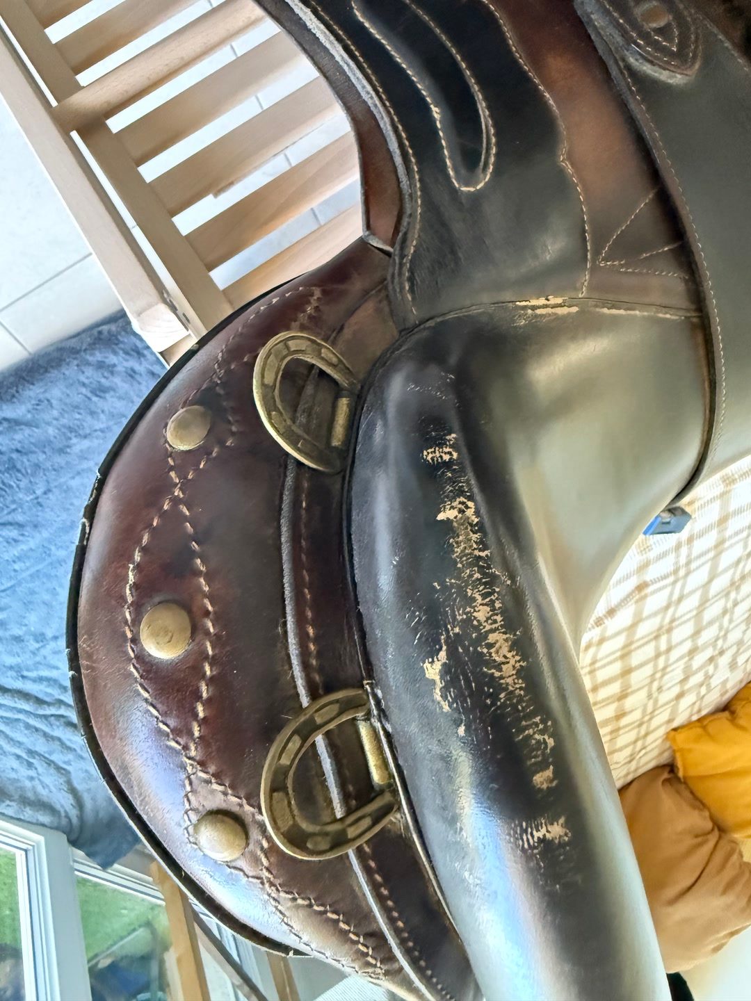 Selle australienne, média 4