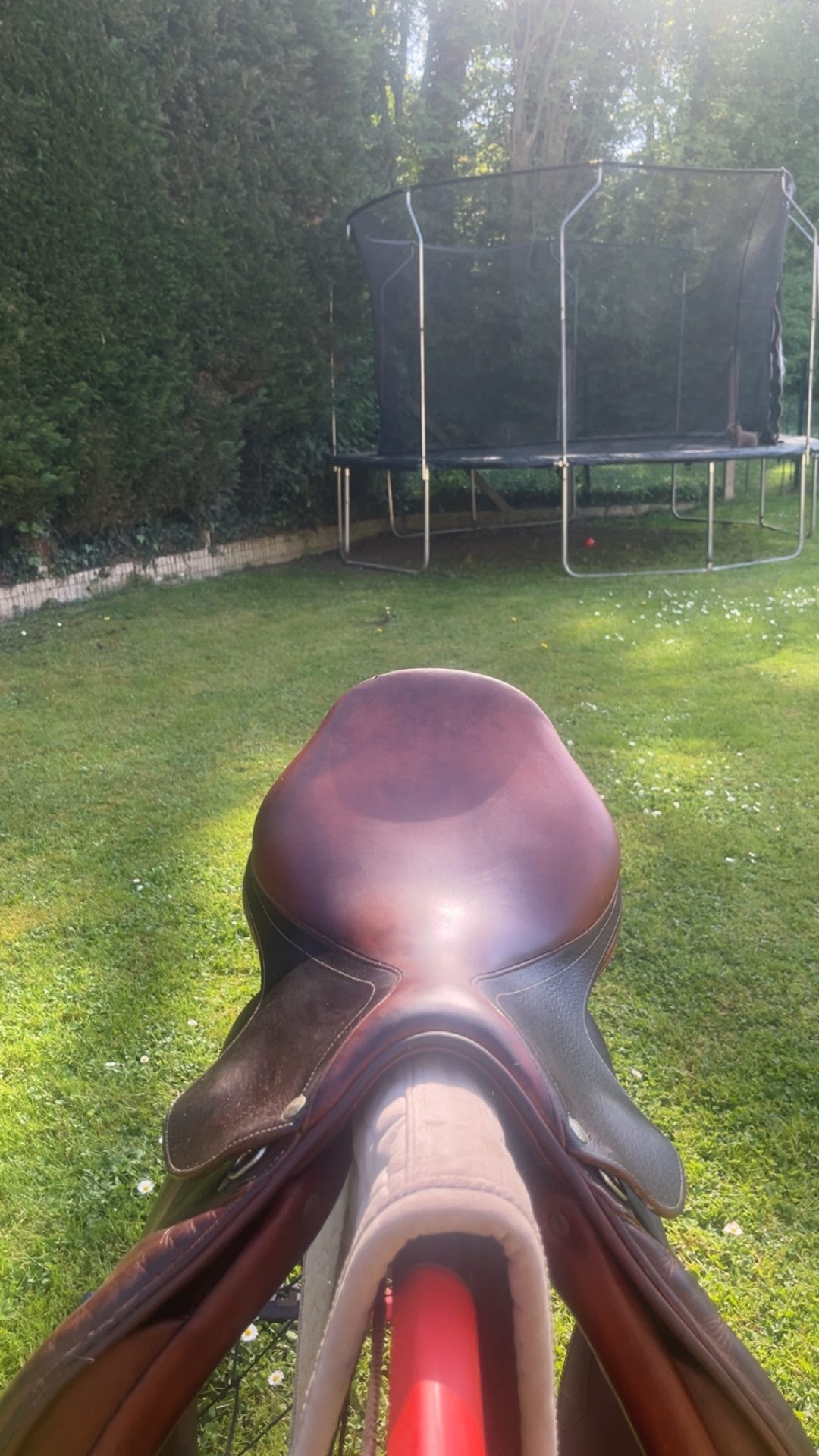Selle d’équitation Forestier, média 3