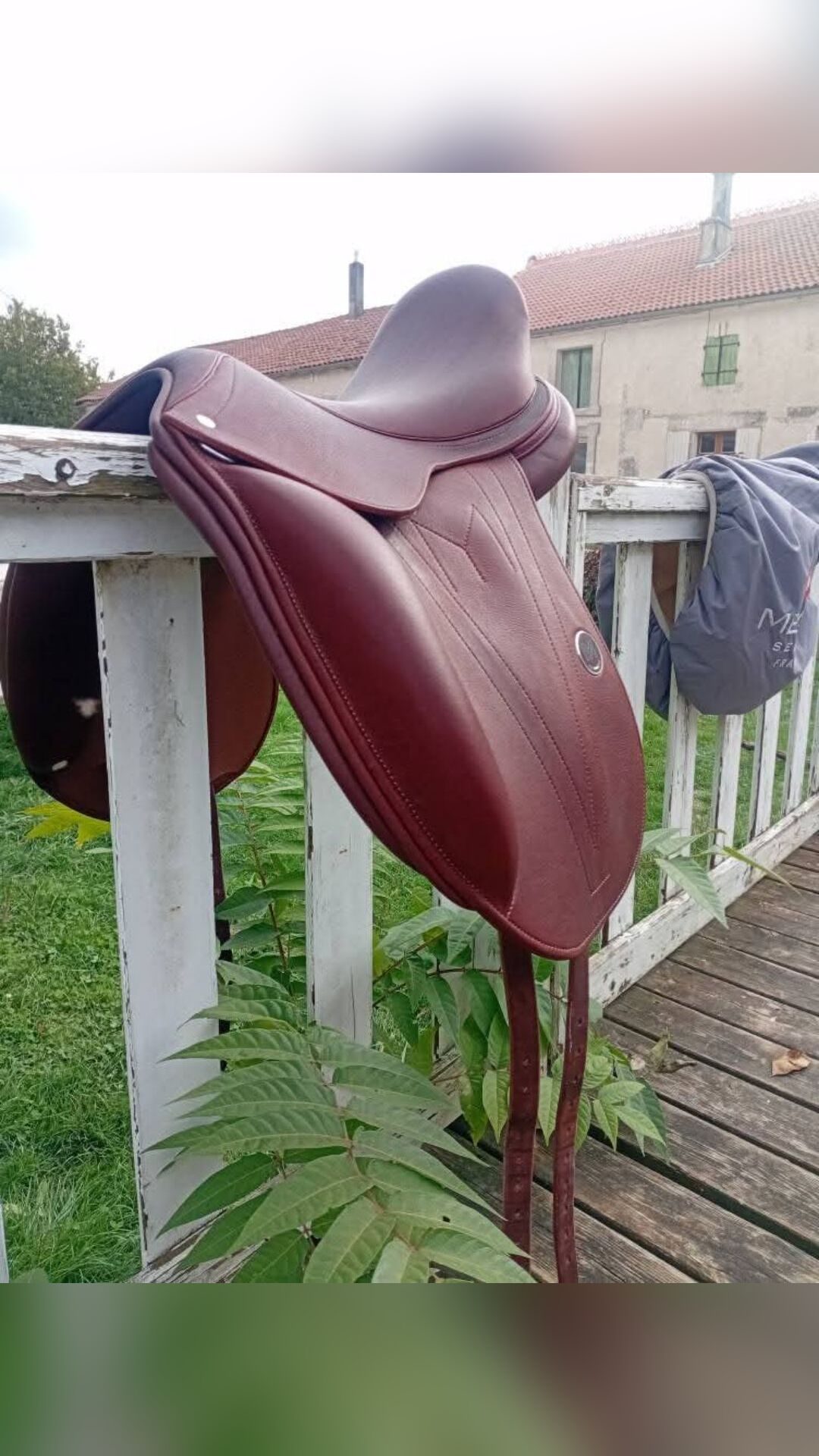 Selle dressage, média 2