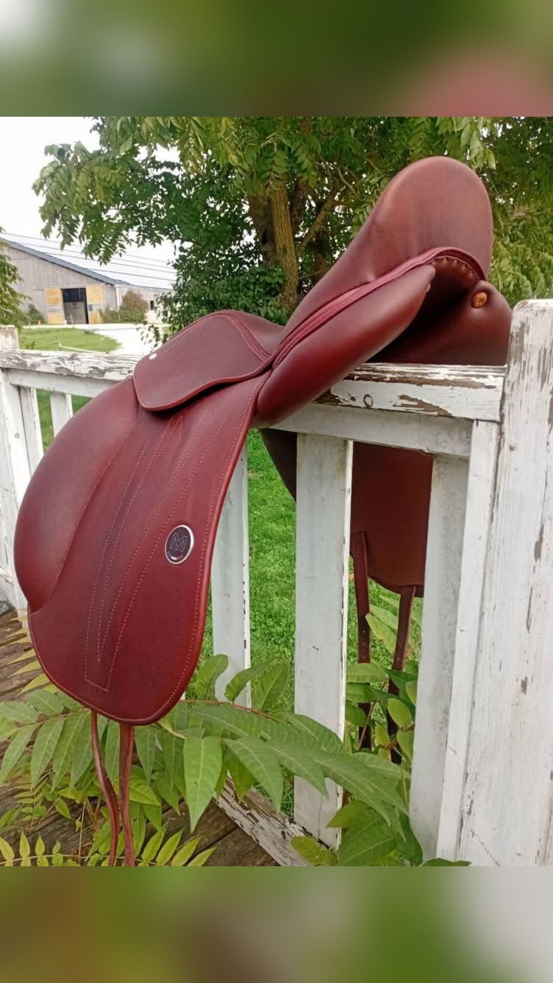 Selle dressage, média 3