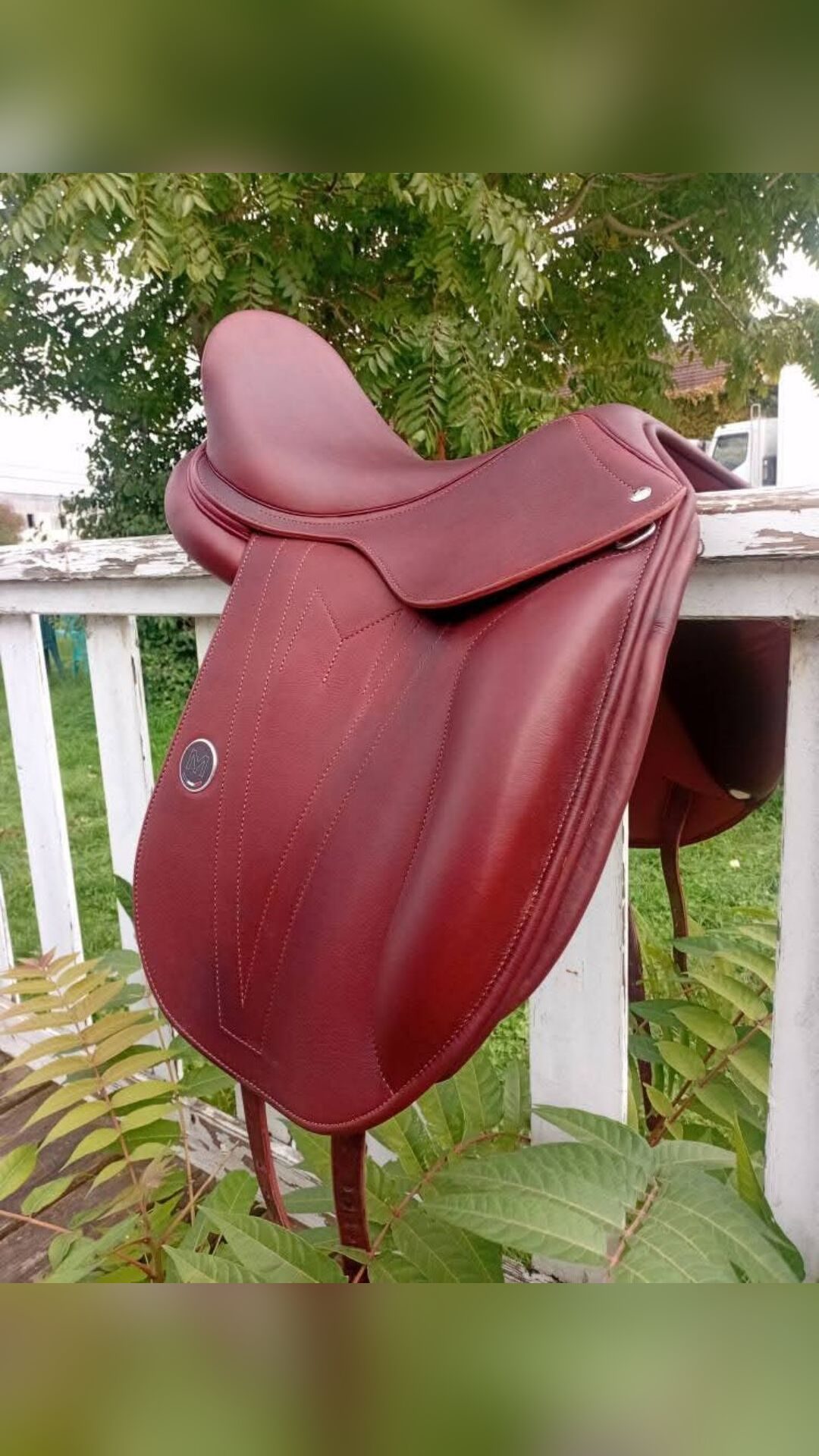 Selle dressage, média 4