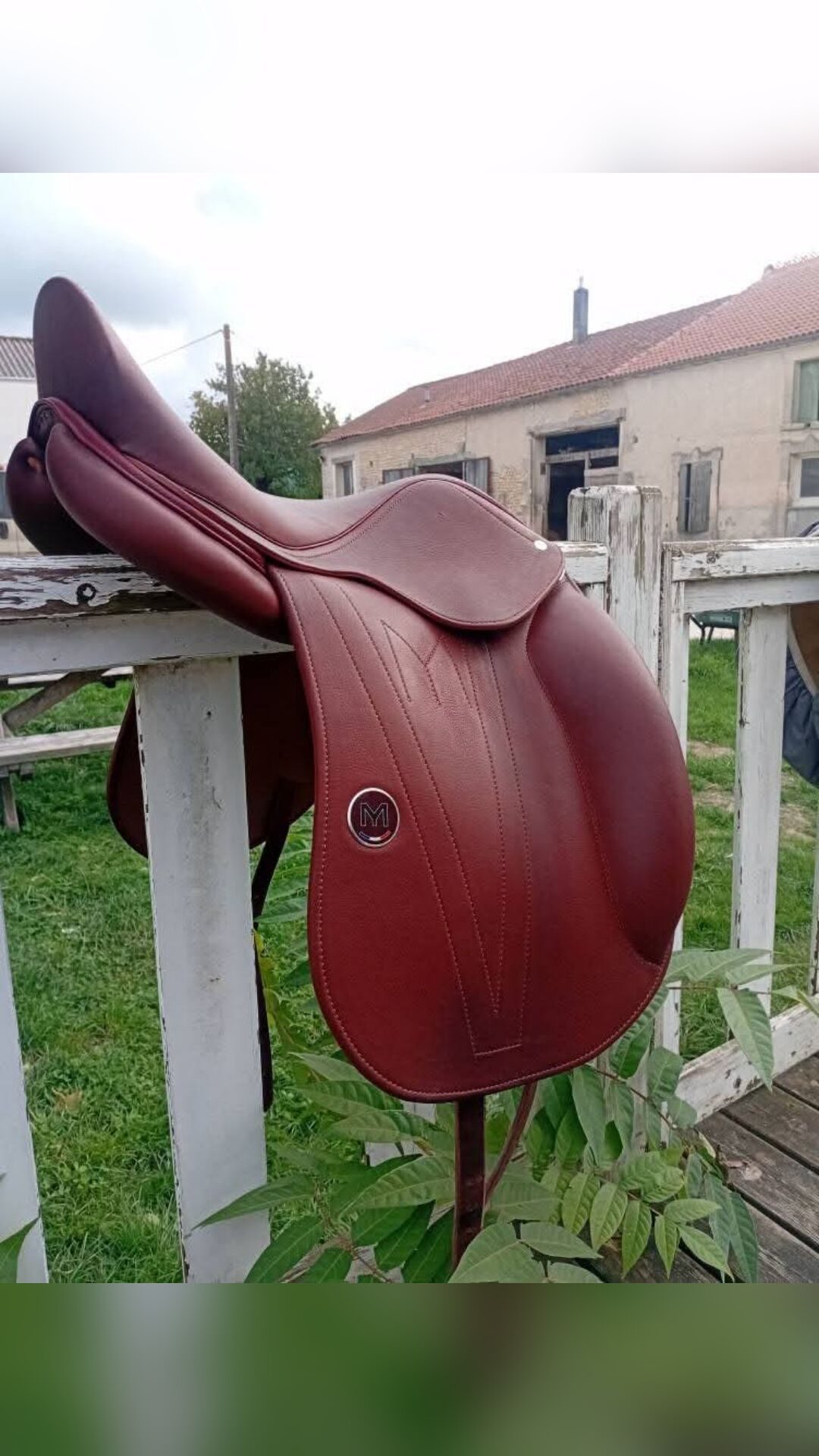 Selle dressage, média 6
