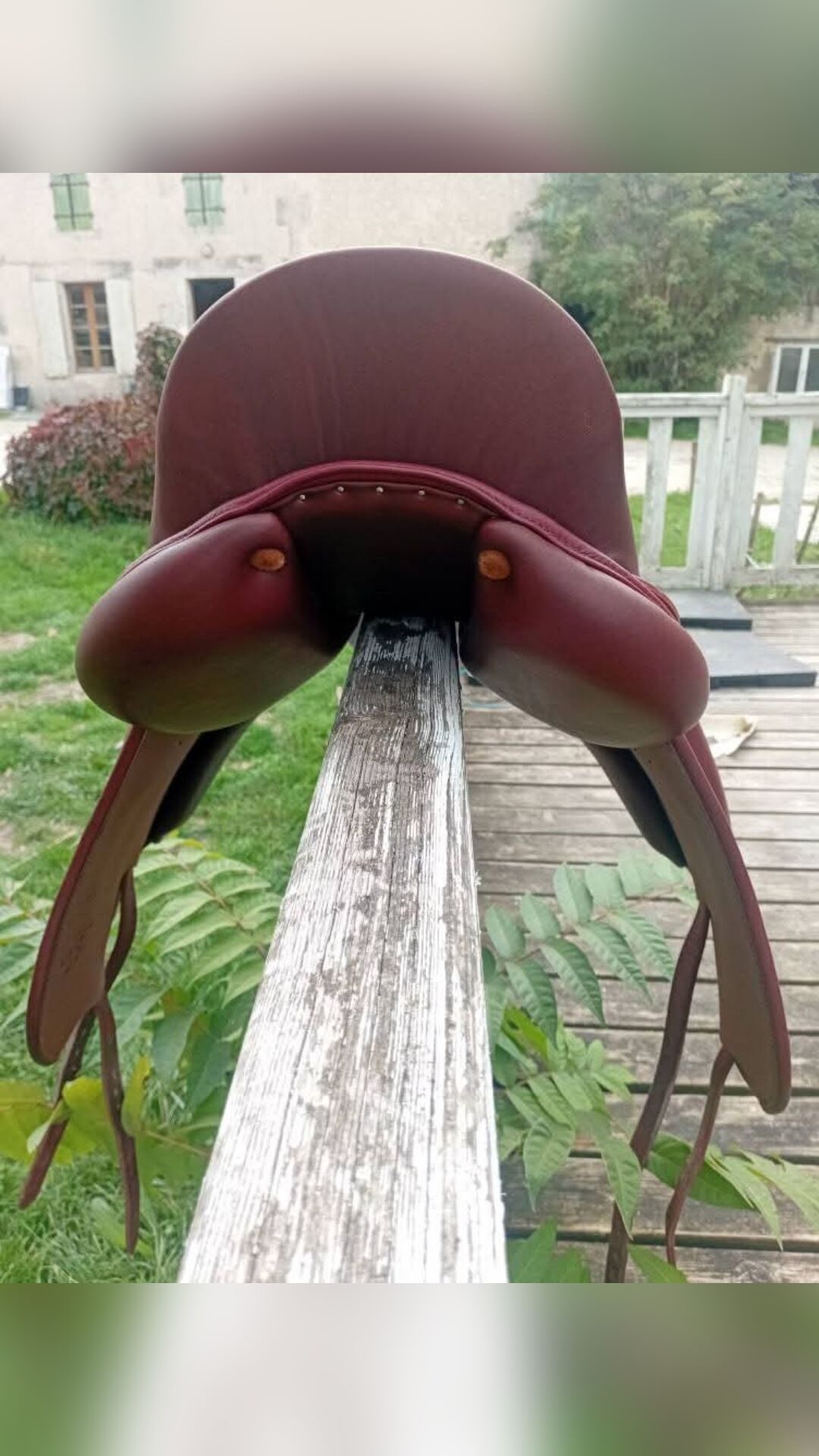Selle dressage, média 7