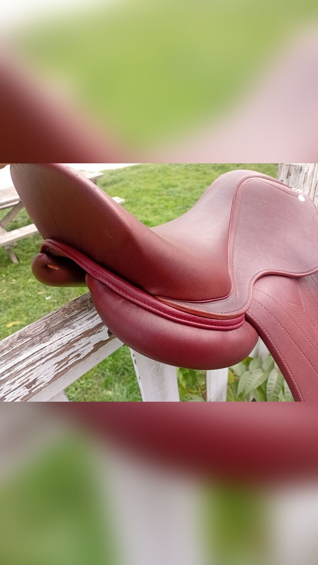 Selle dressage, média 8