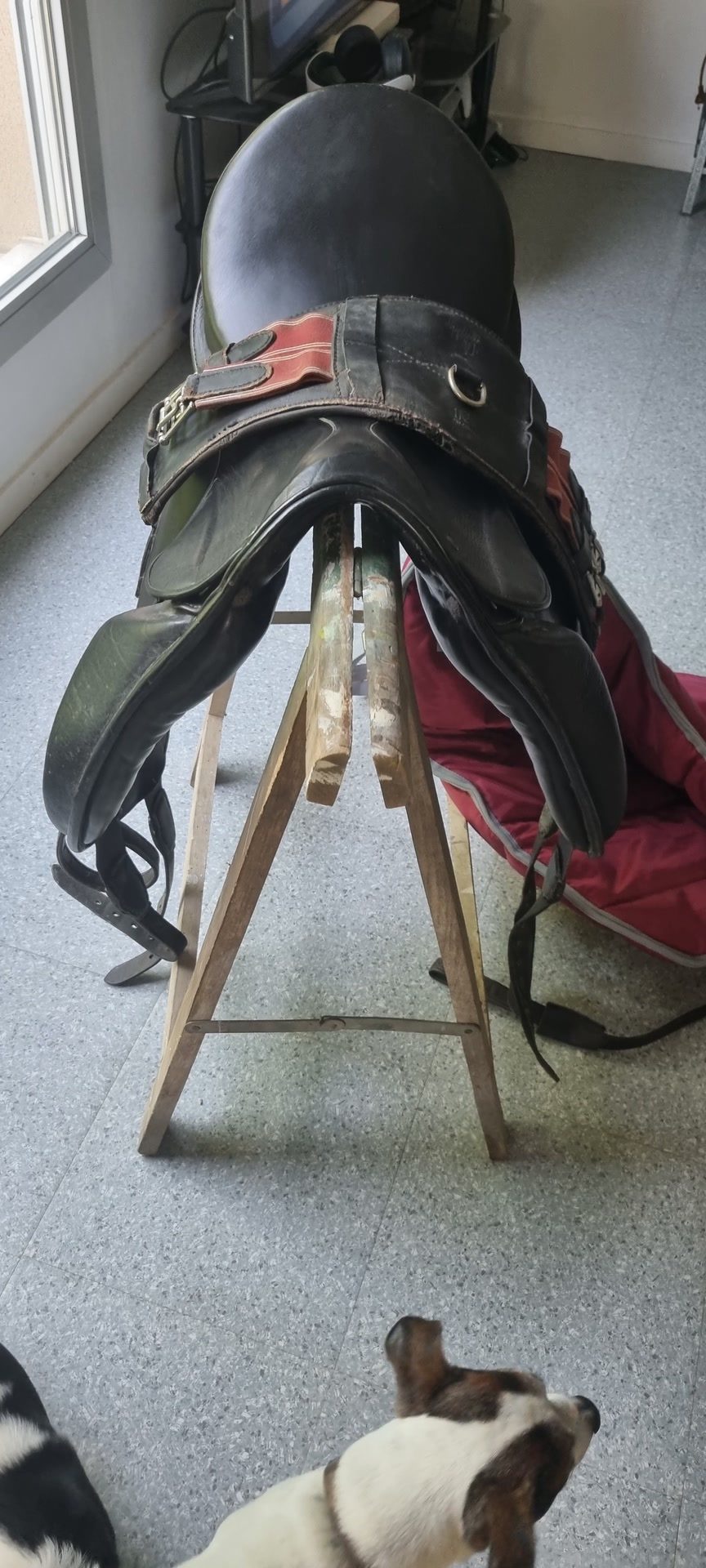Selle, média 4