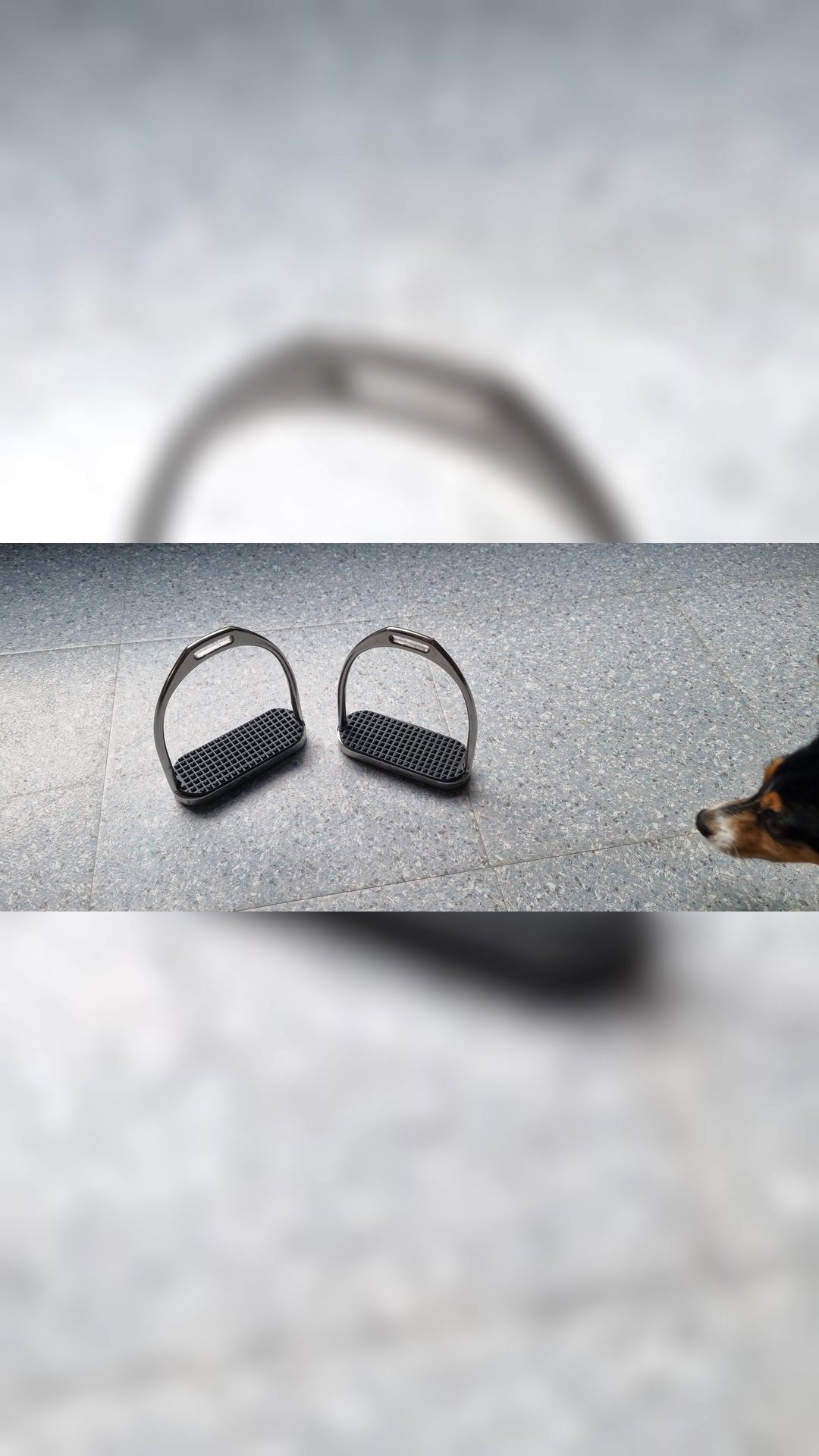 Selle, média 8