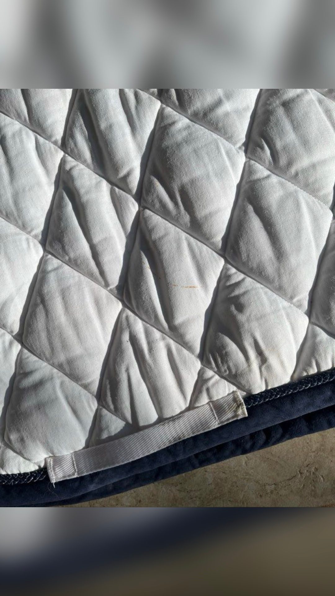 Tapis dressage blanc BR, média 3