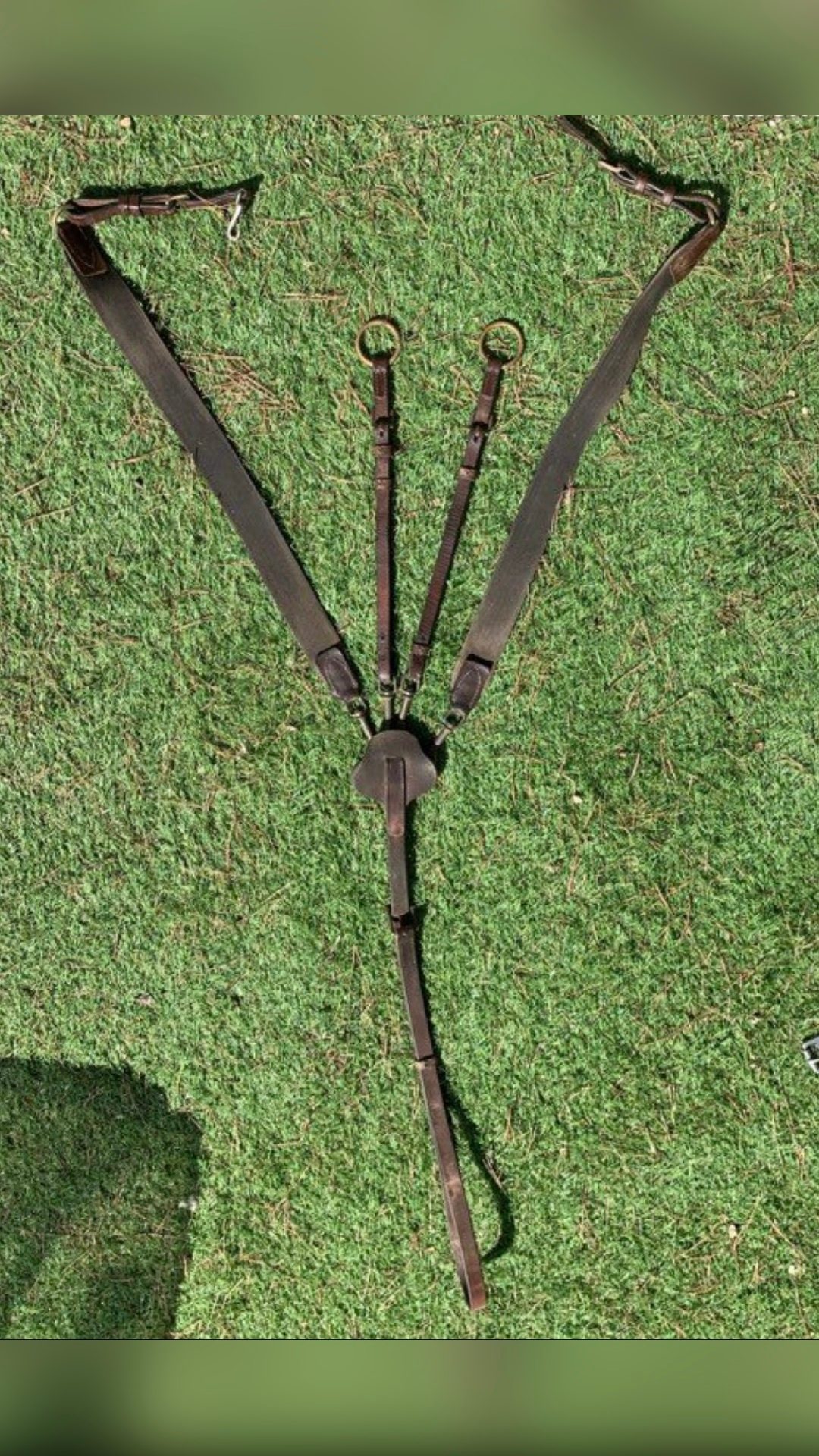 Collier de chasse avec martingale, média 2