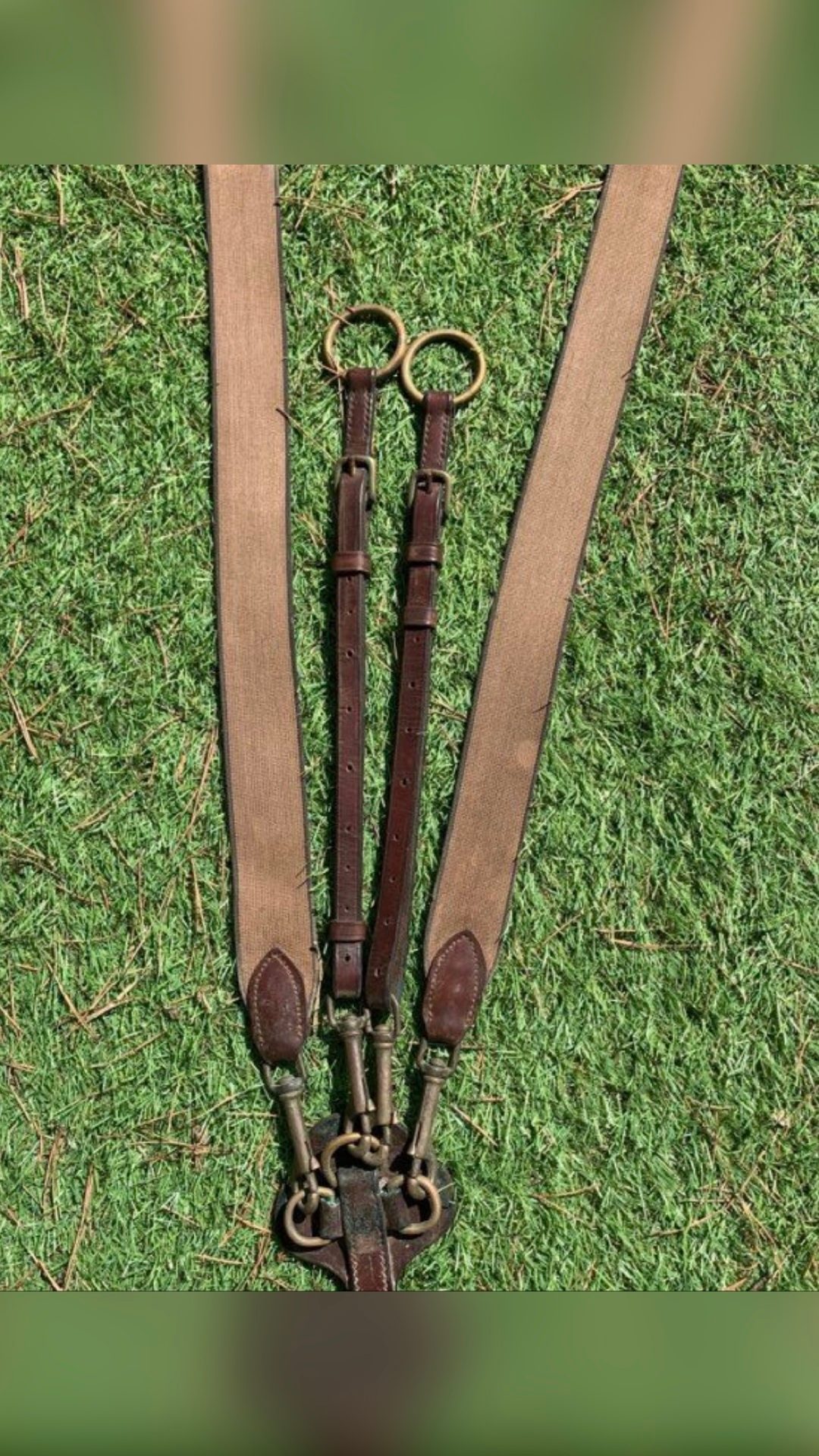 Collier de chasse avec martingale, média 3