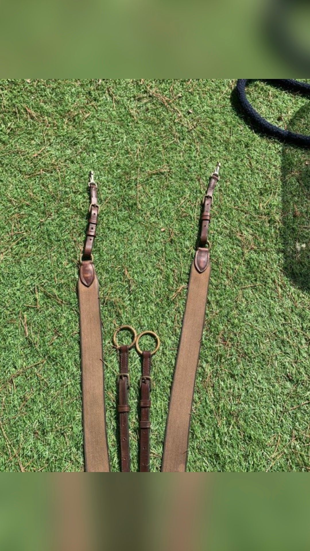 Collier de chasse avec martingale, média 4