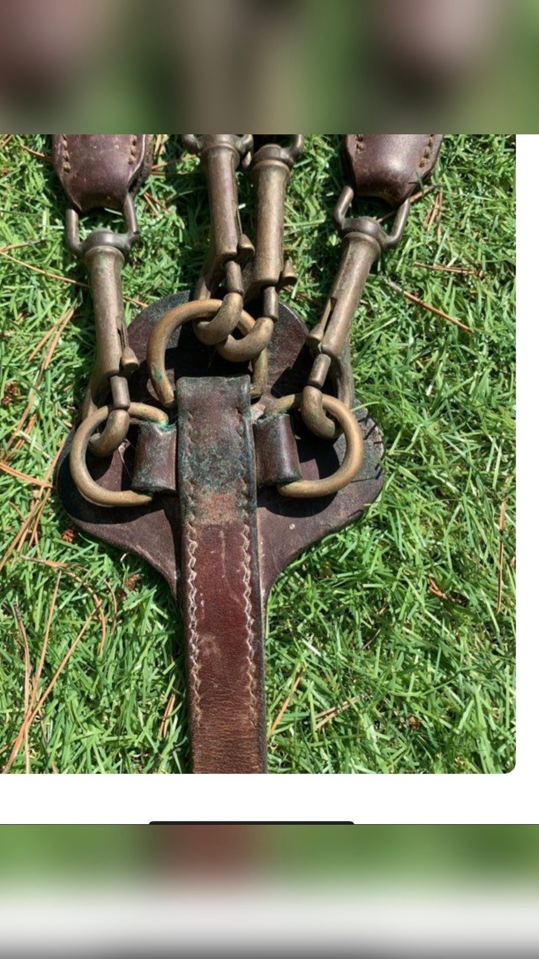 Collier de chasse avec martingale, média 6