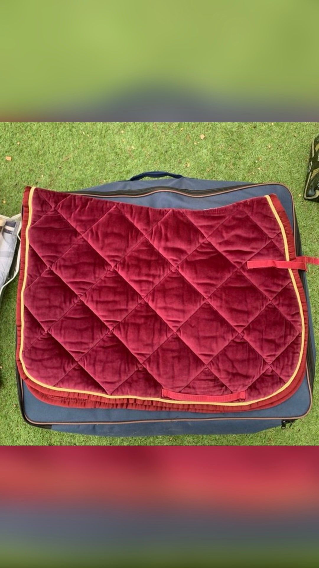 Tapis velours fuchsia, média 2