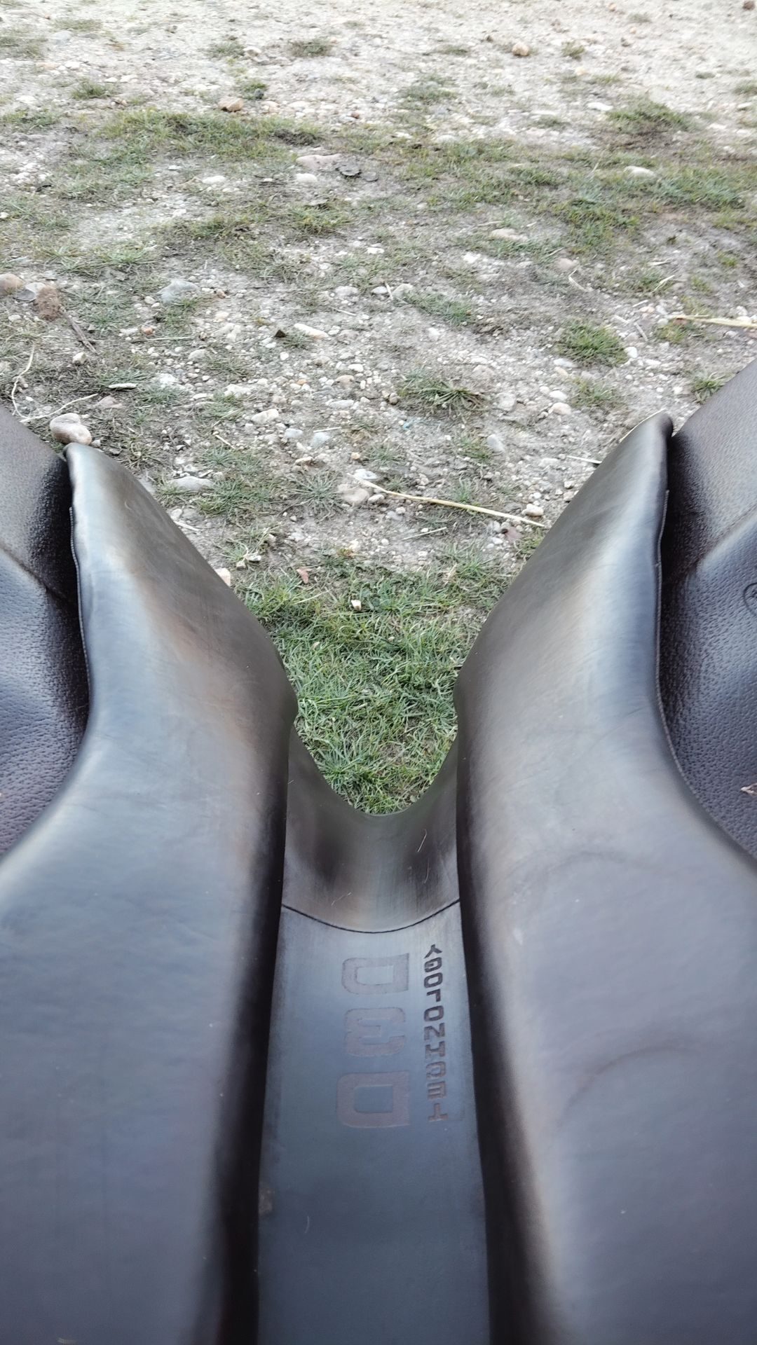 Selle + bavette, média 6