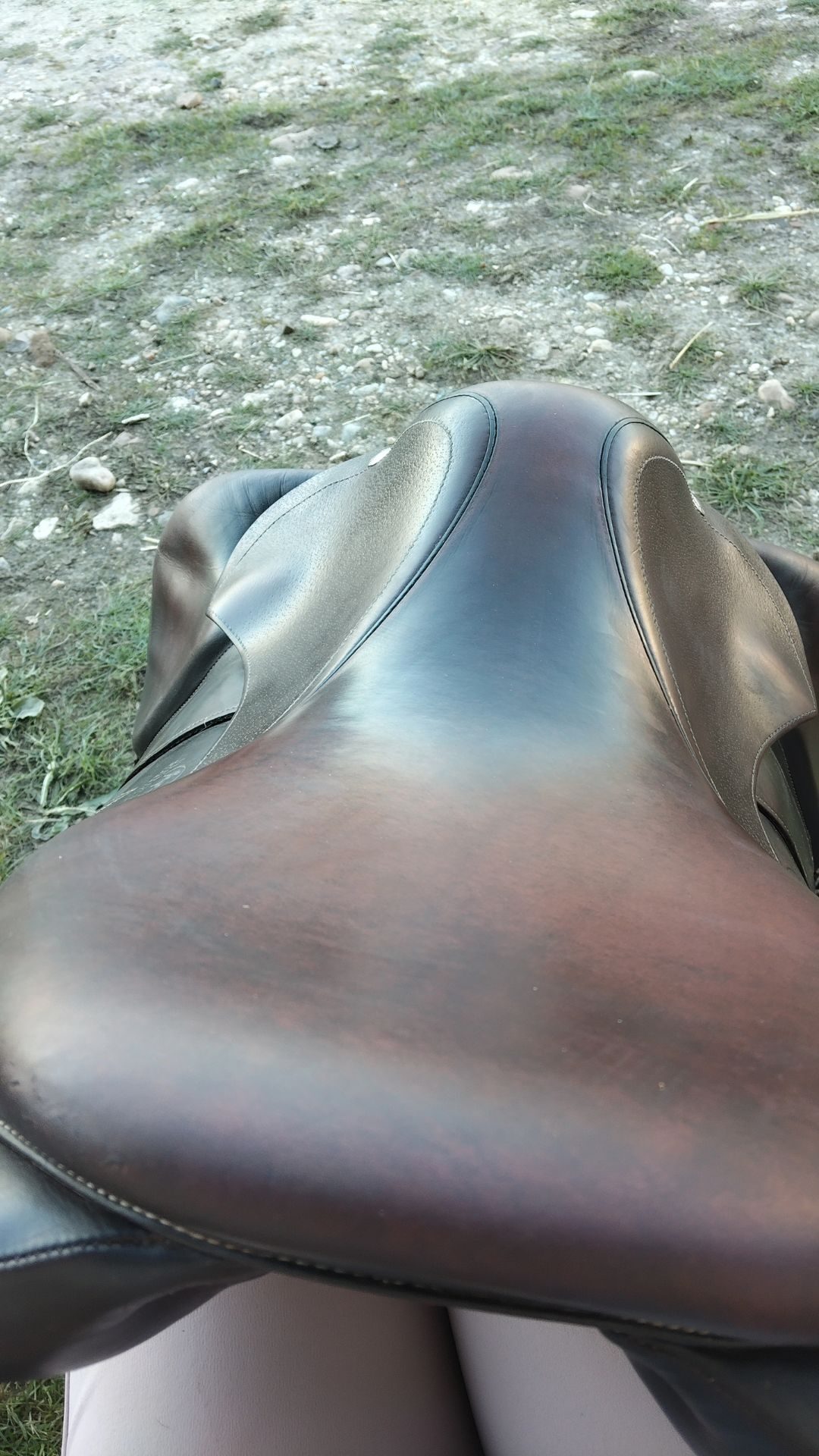 Selle + bavette, média 10