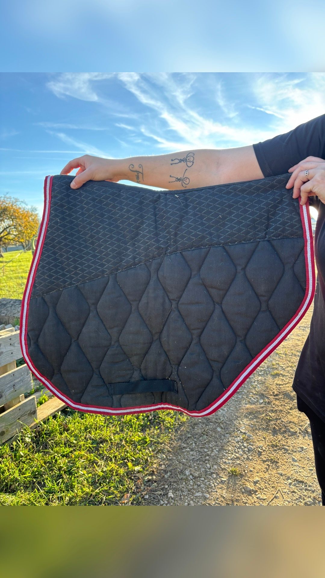 Tapis, média 2