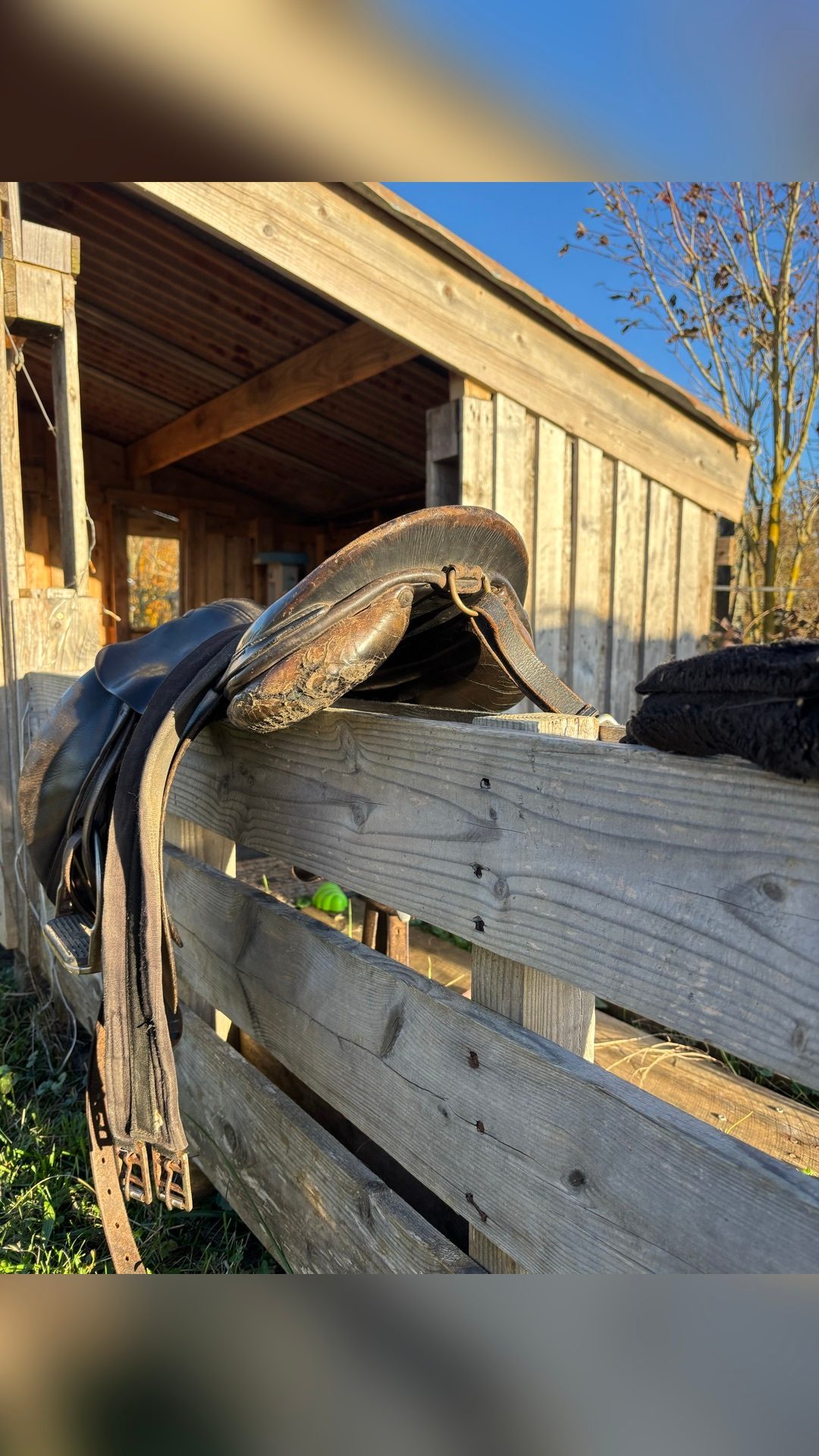 Selle Forestier complète + filet, média 2