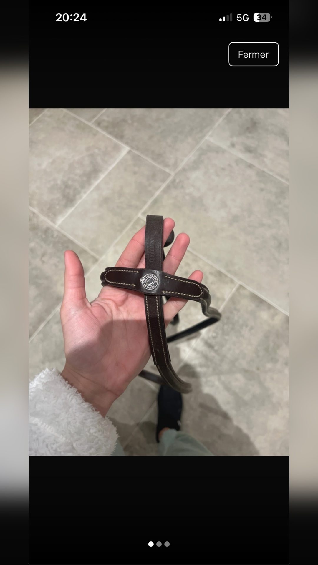 Martingale fixe Antarès, média 2