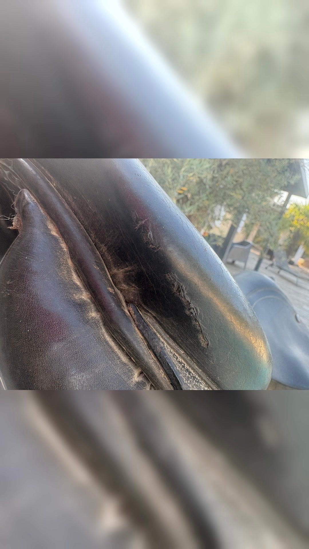Selle Forestier en cuir noir, média 2