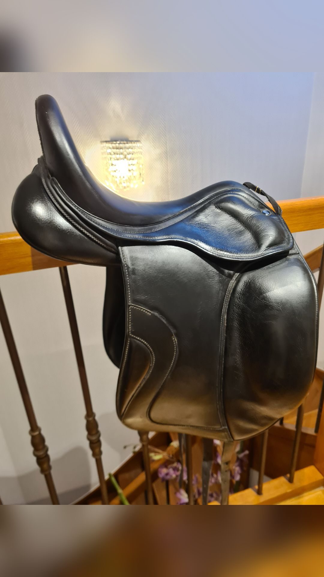 Selle de dressage, média 5