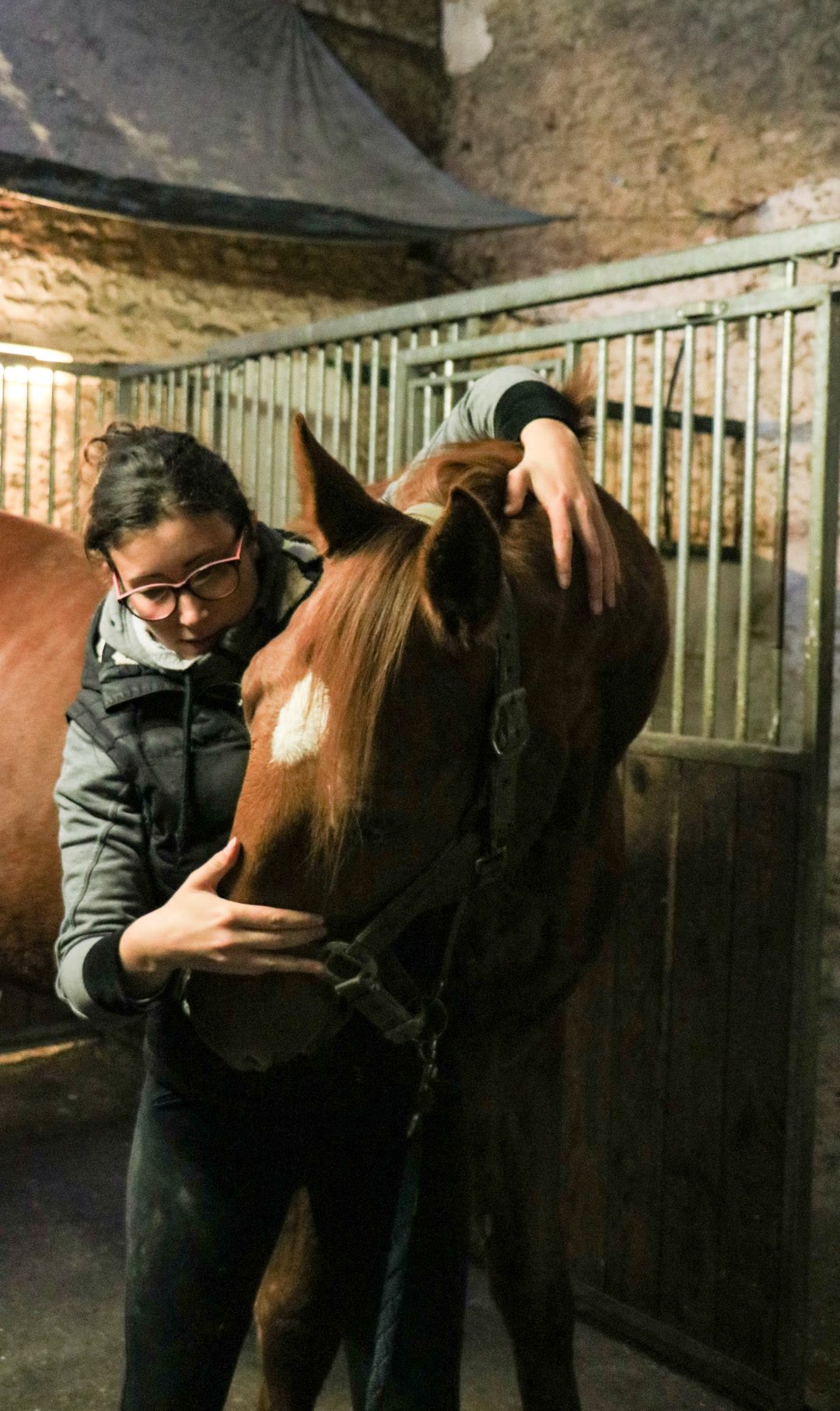 Ostéopathe animalier, média 3