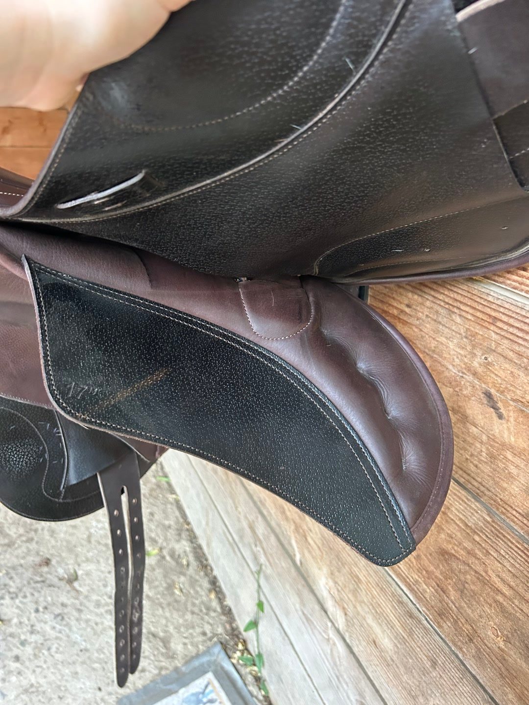 Selle première équipe, média 3