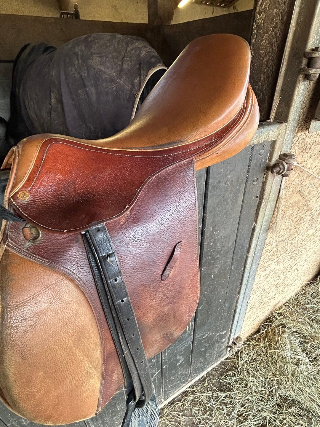 Selle débourrage, média 2