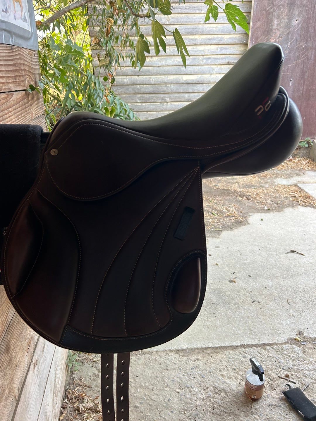 Selle première équipe, média 4