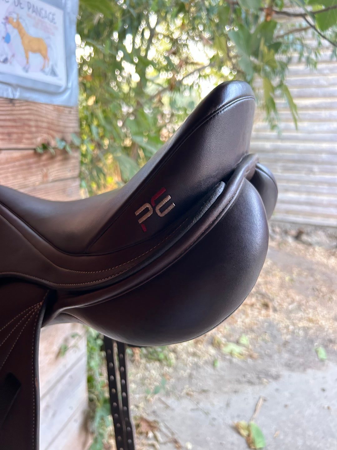 Selle première équipe, média 2