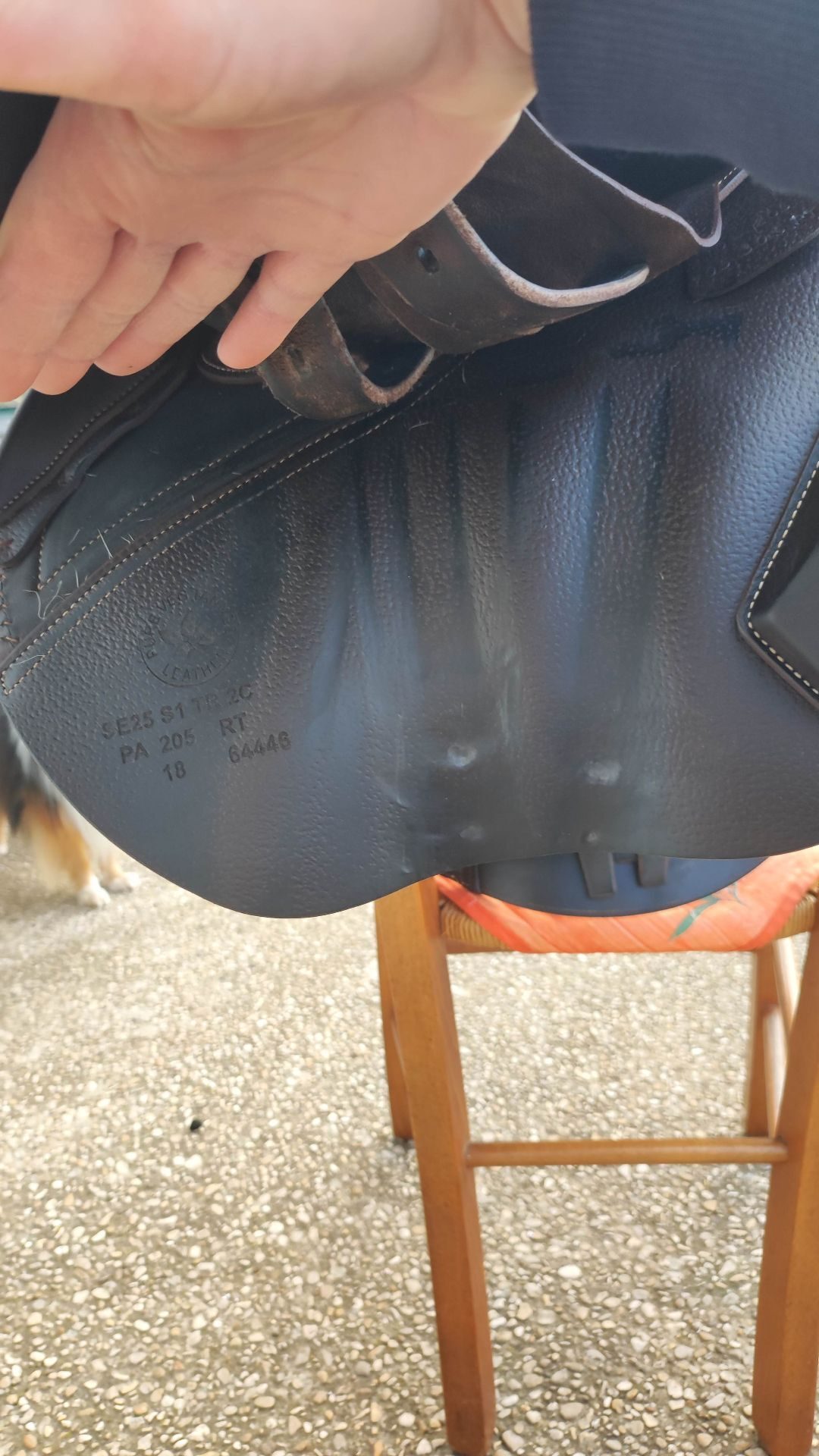 Selle CWD 2GS, média 9