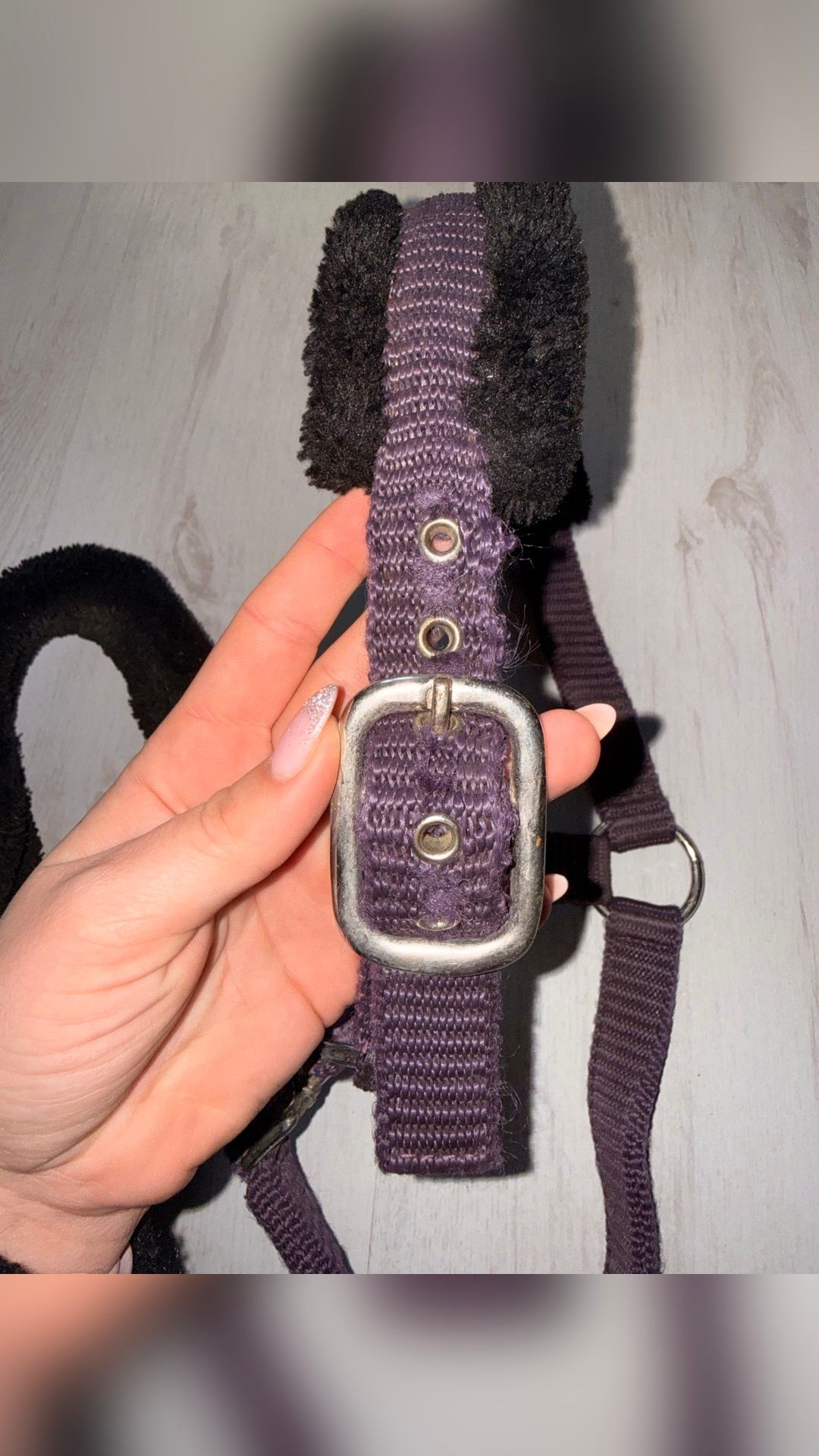 Licol aubergine, média 4