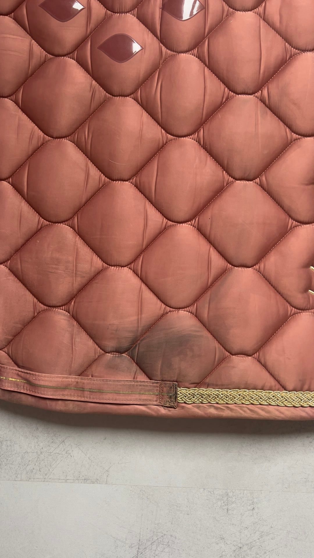 Tapis dressage eskadron héritage, média 5