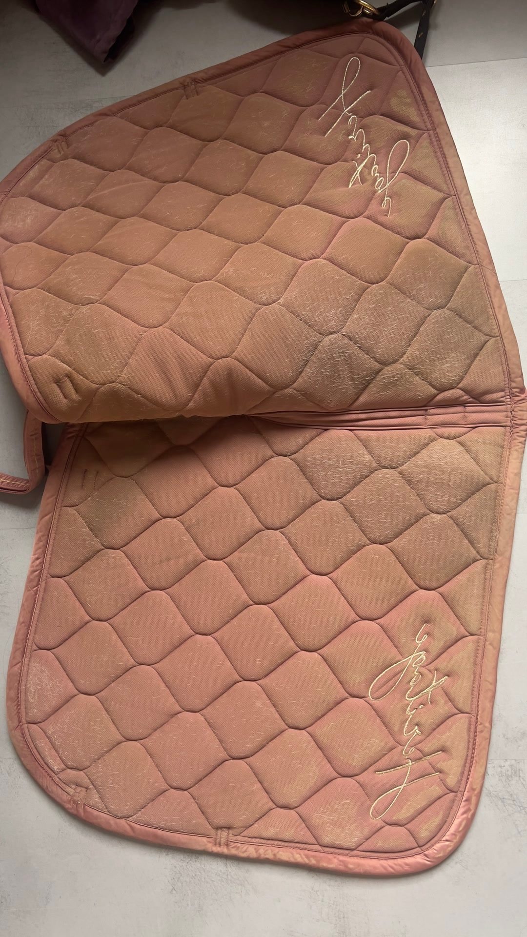 Tapis dressage eskadron héritage, média 4