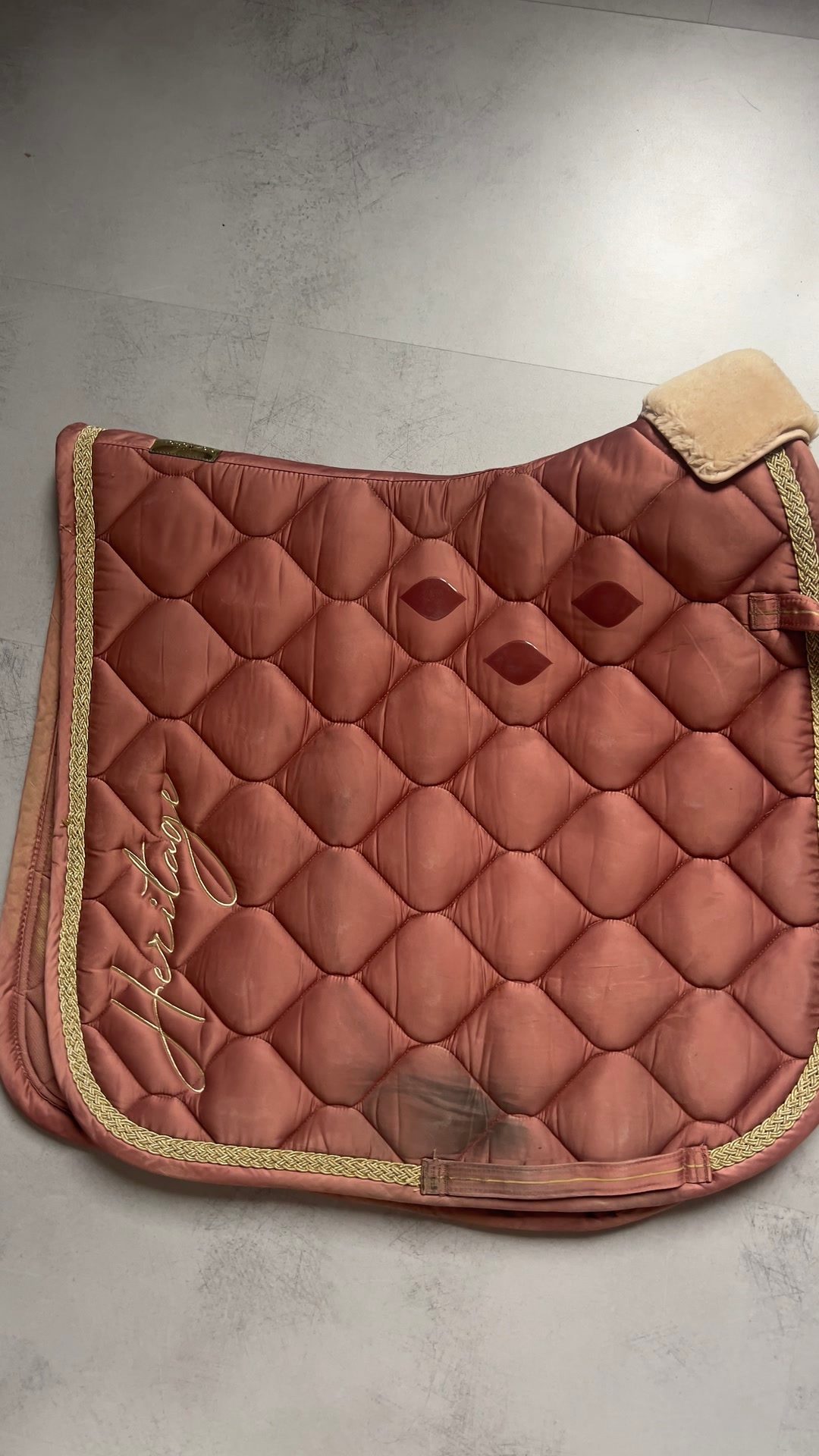 Tapis dressage eskadron héritage, média 2