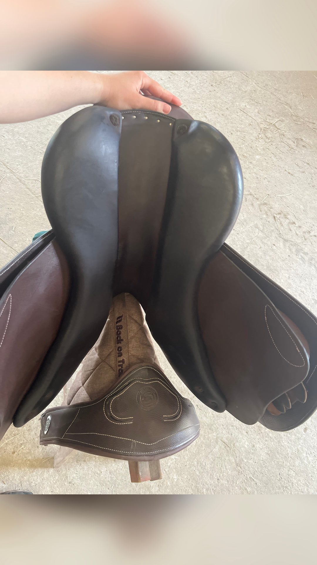 Selle Forestier Séoul, média 3