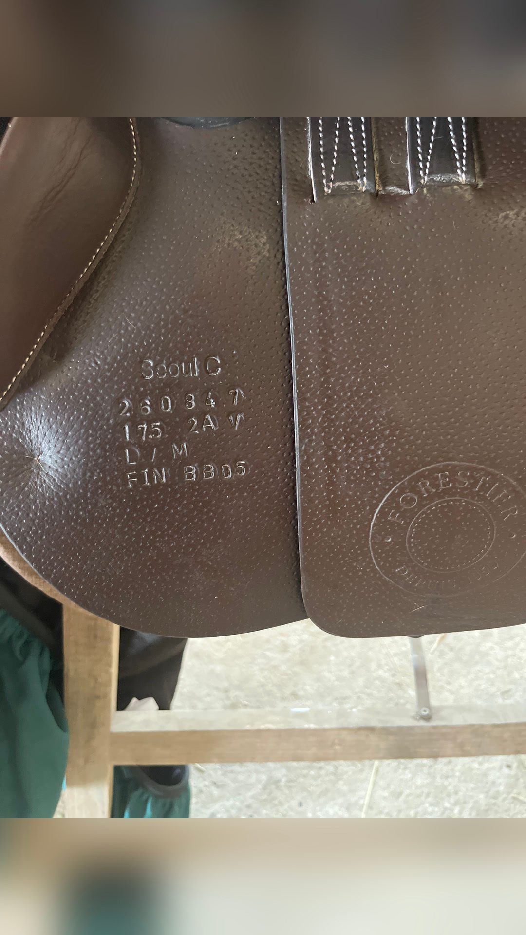 Selle Forestier Séoul, média 4