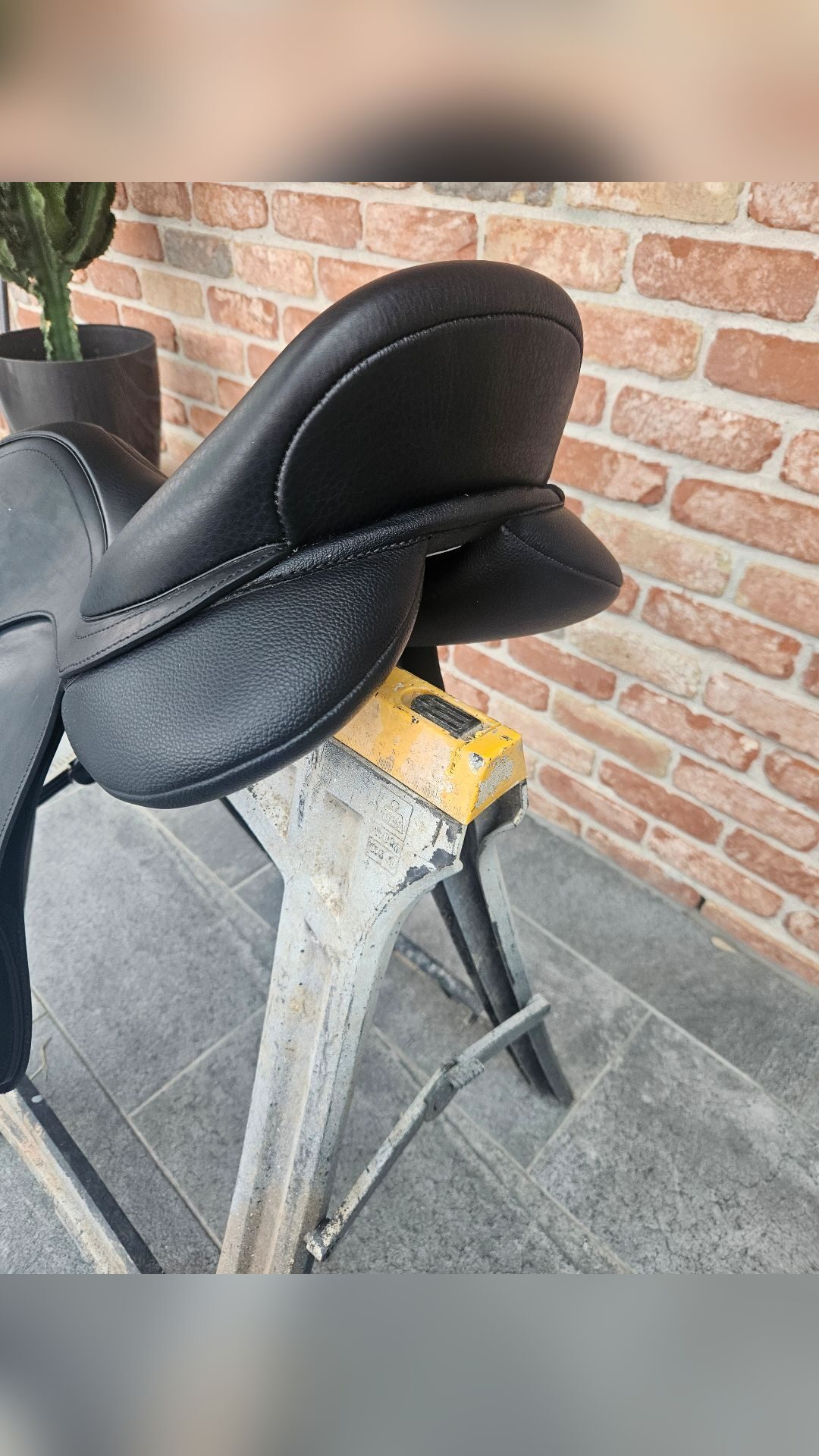 Selle Arena, média 4