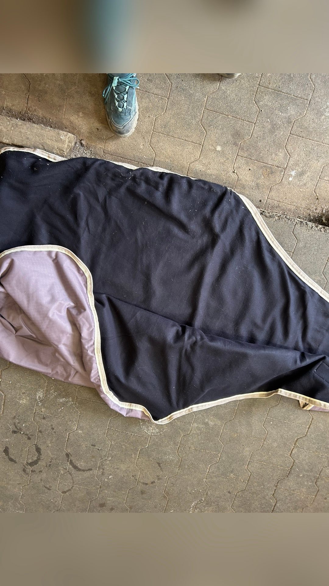 Couvre rein imperméable, média 2