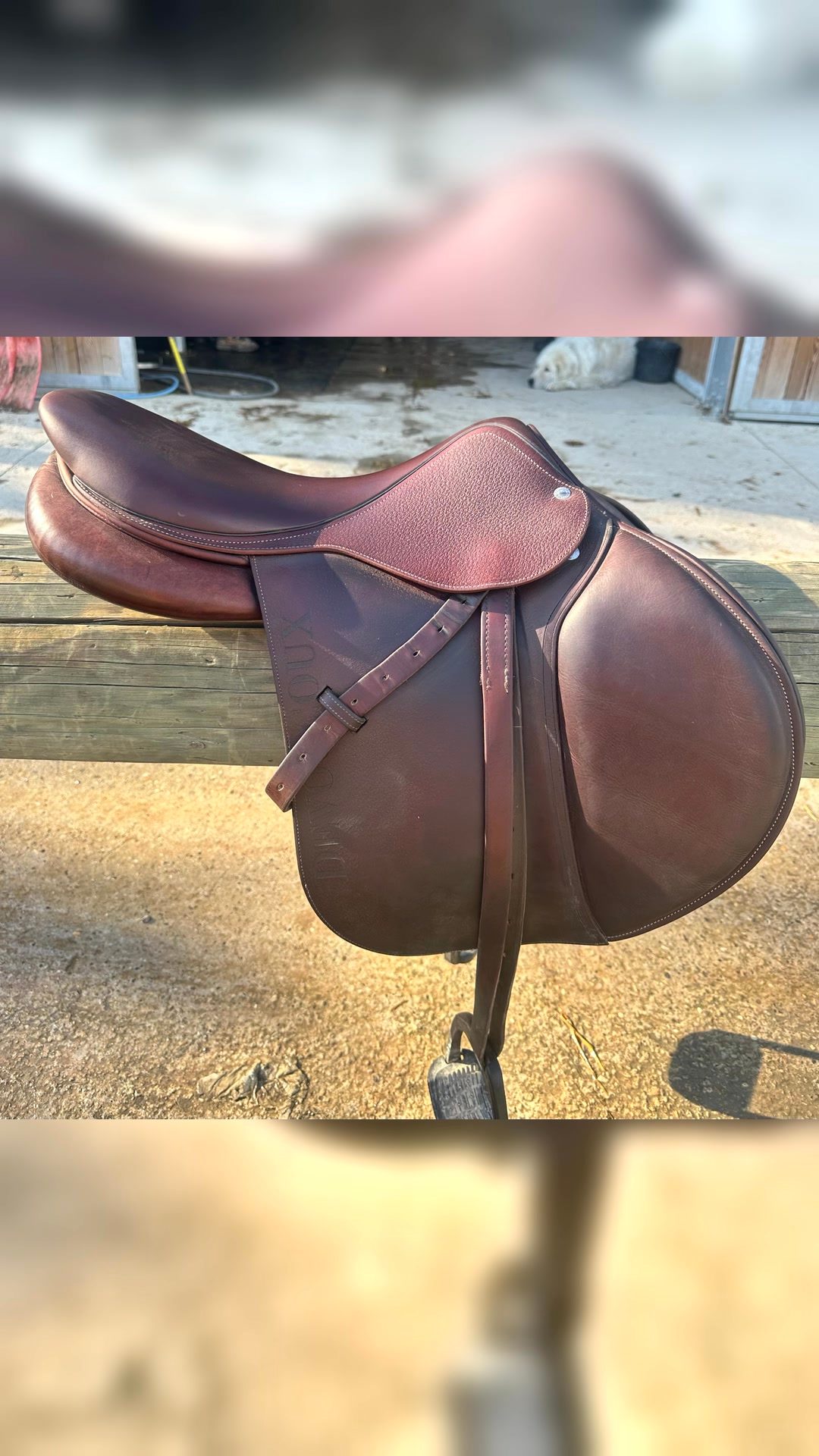 Selle Devoucoux Biarritz S, média 2