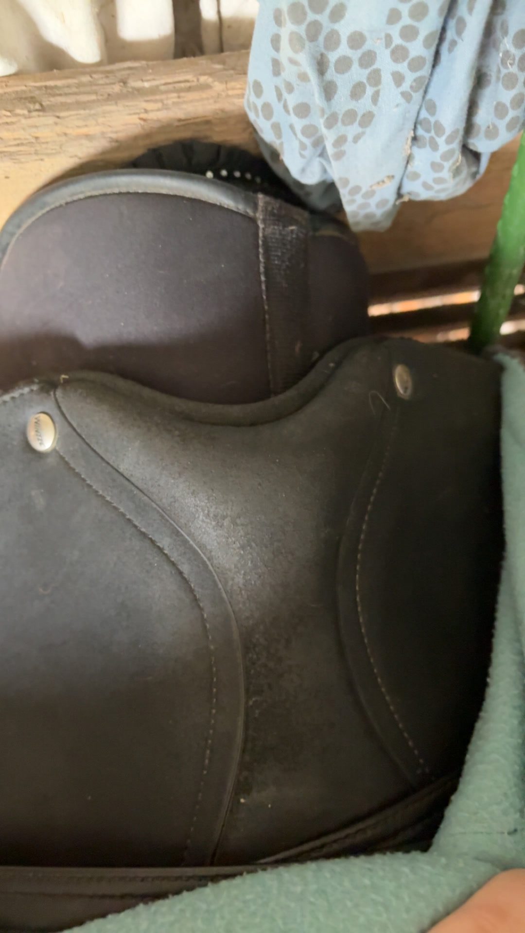 selle Wintec Isabell dressage 17 pouces, média 6