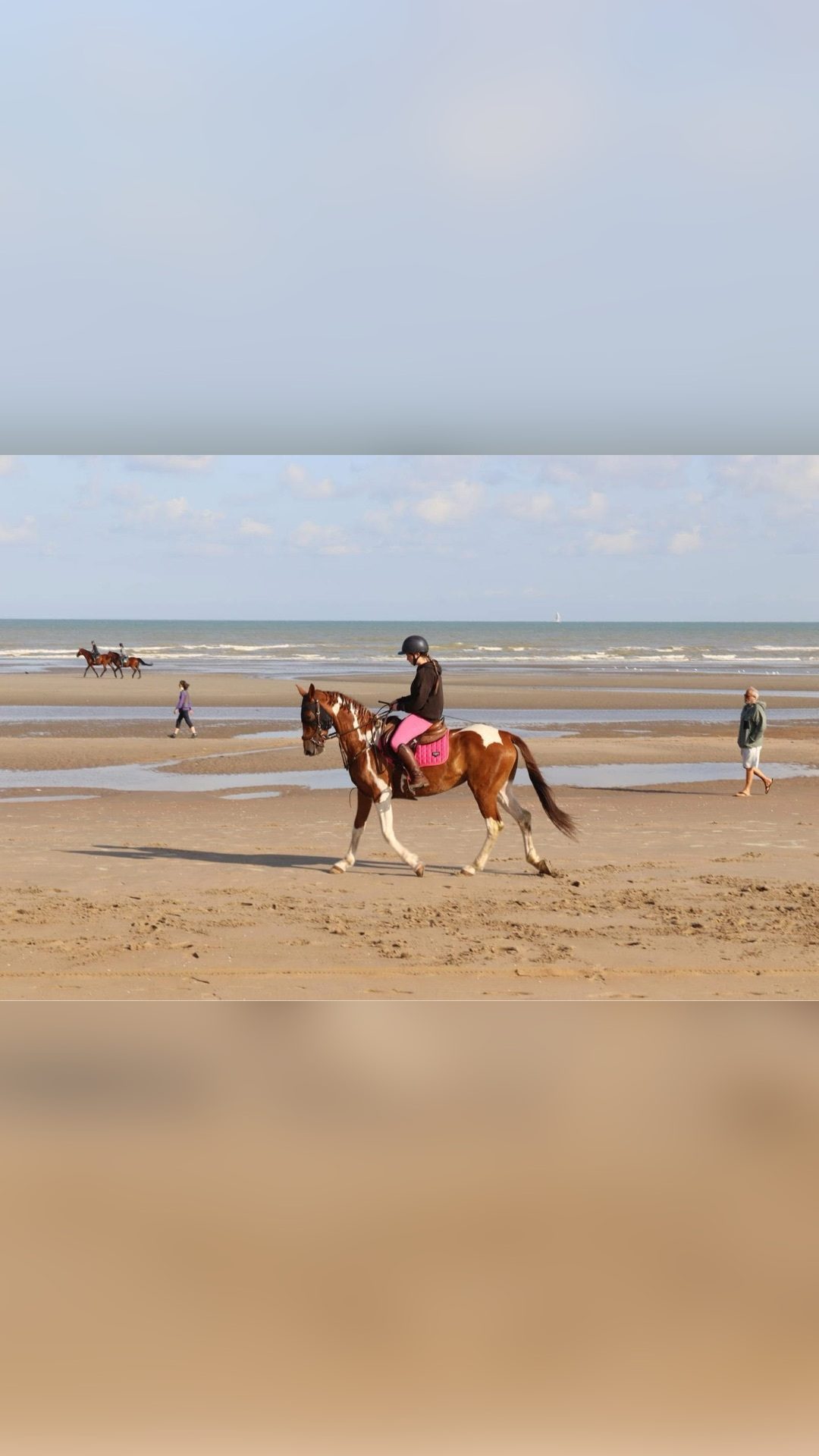 TESS, média 6