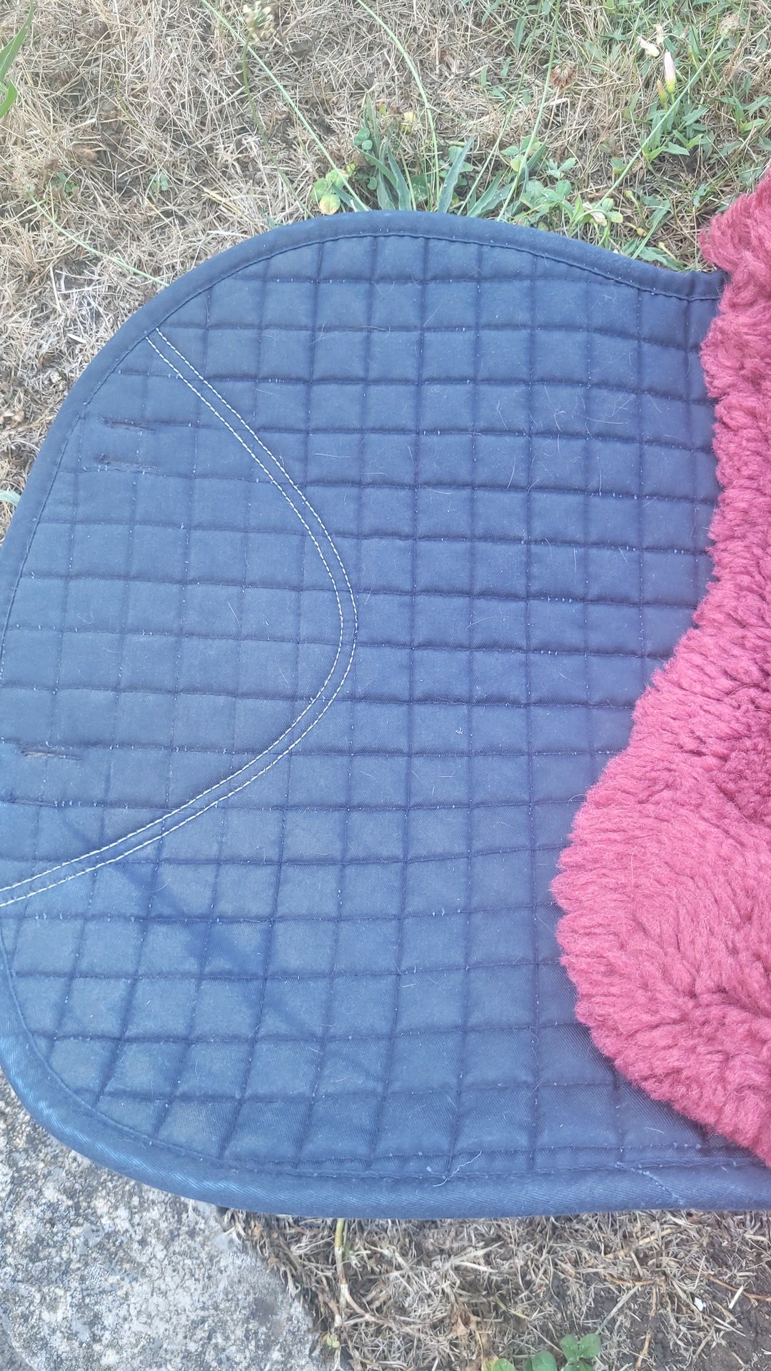 Tapis laine  mérinos, média 7