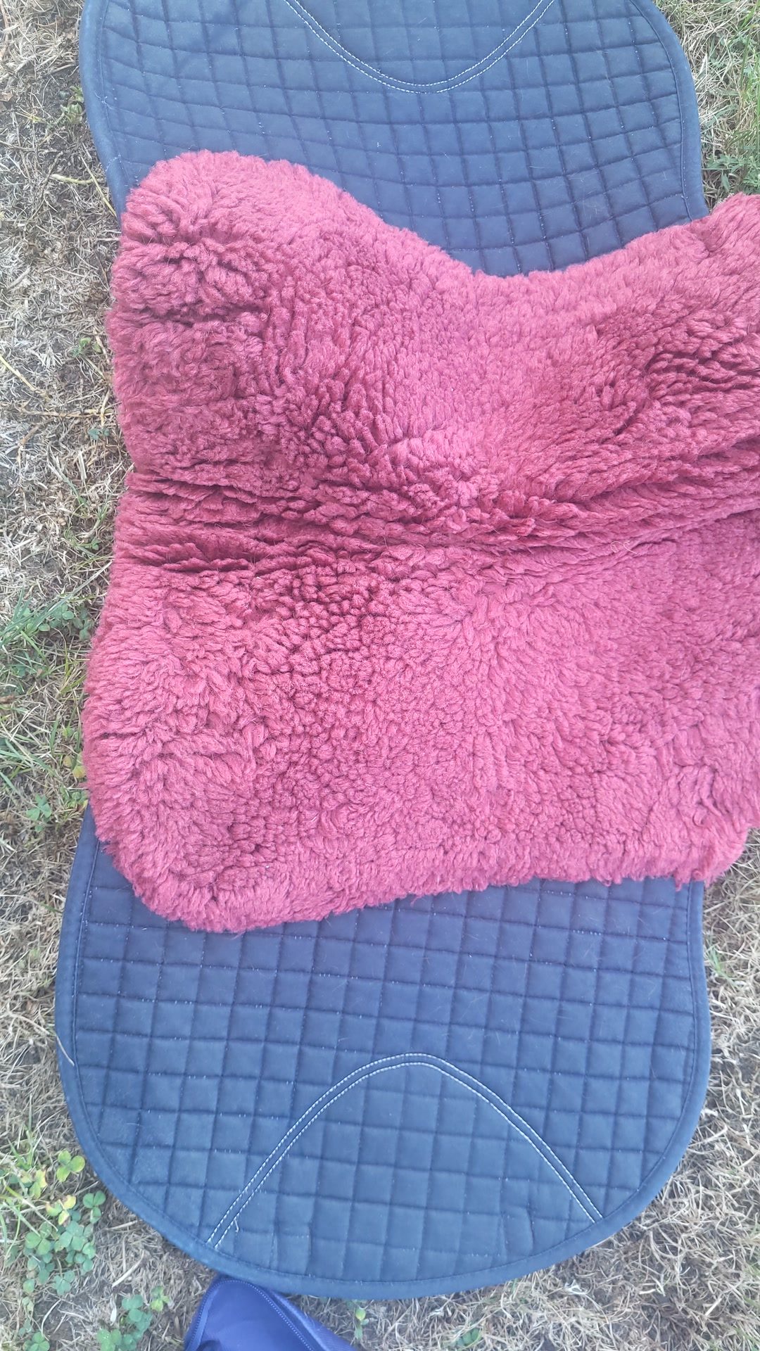 Tapis laine  mérinos, média 5