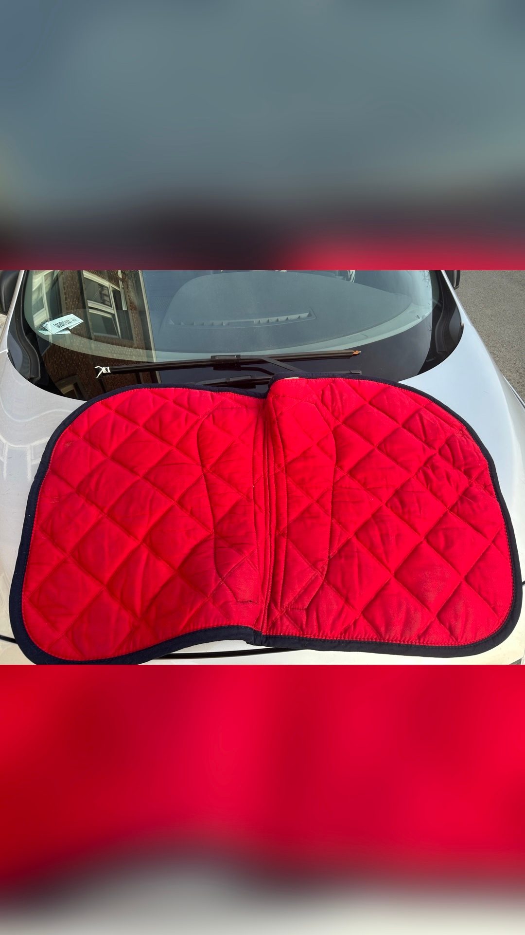 Tapis de selle, média 4